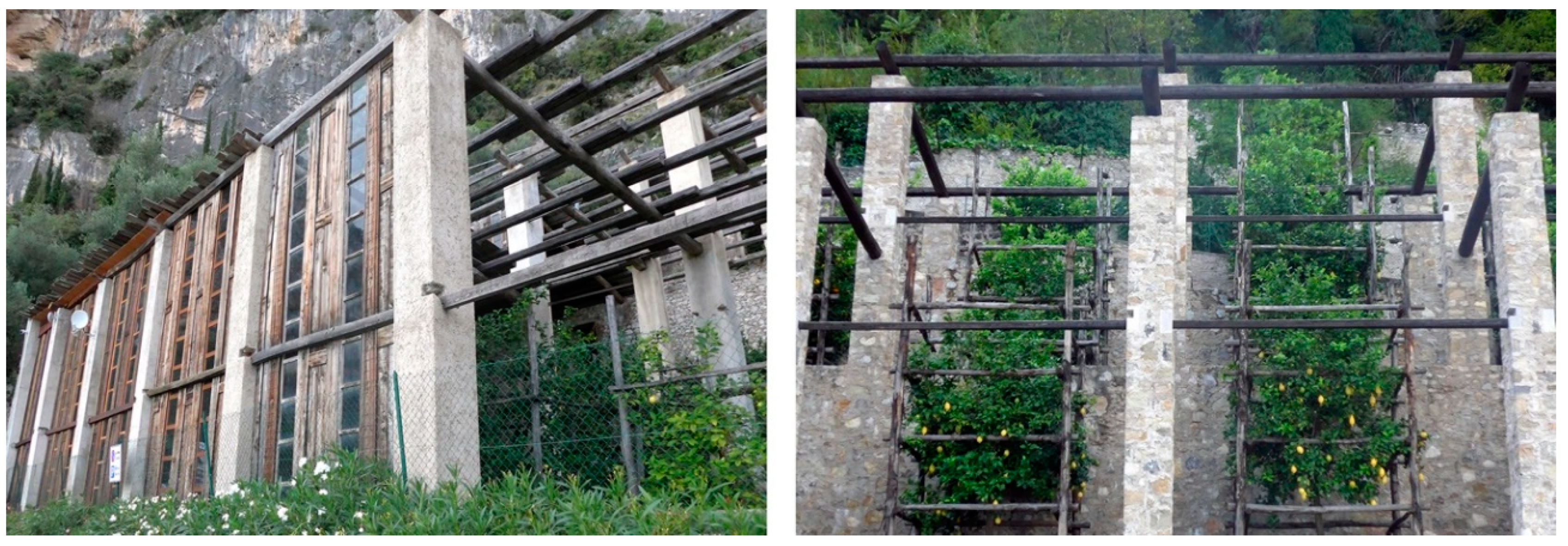 Sustainability 12 05865 g010