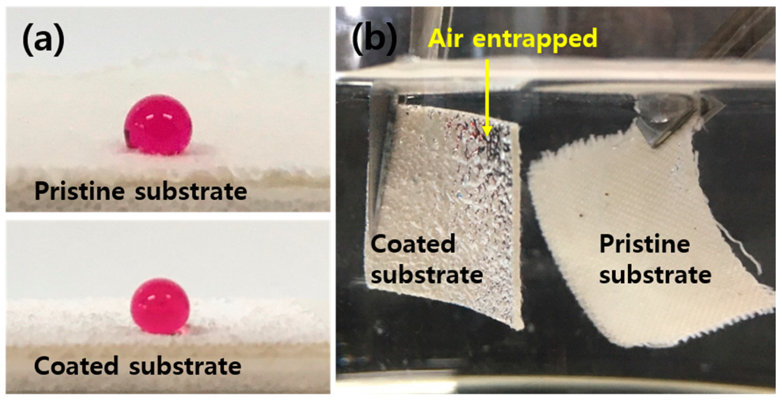 Sustainability 12 05876 g003