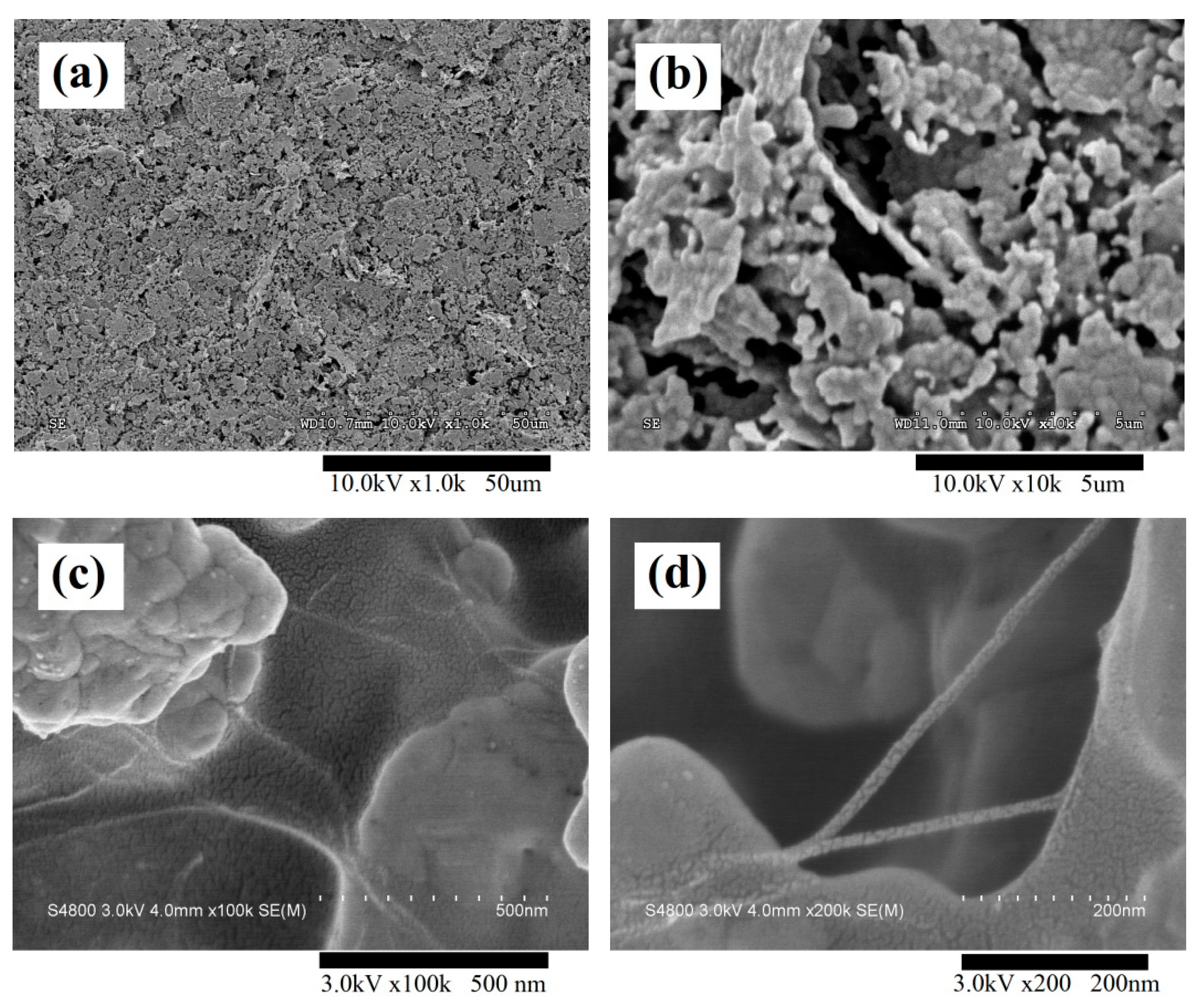 Sustainability 12 05899 g005 Sustainability 12 05899 g005