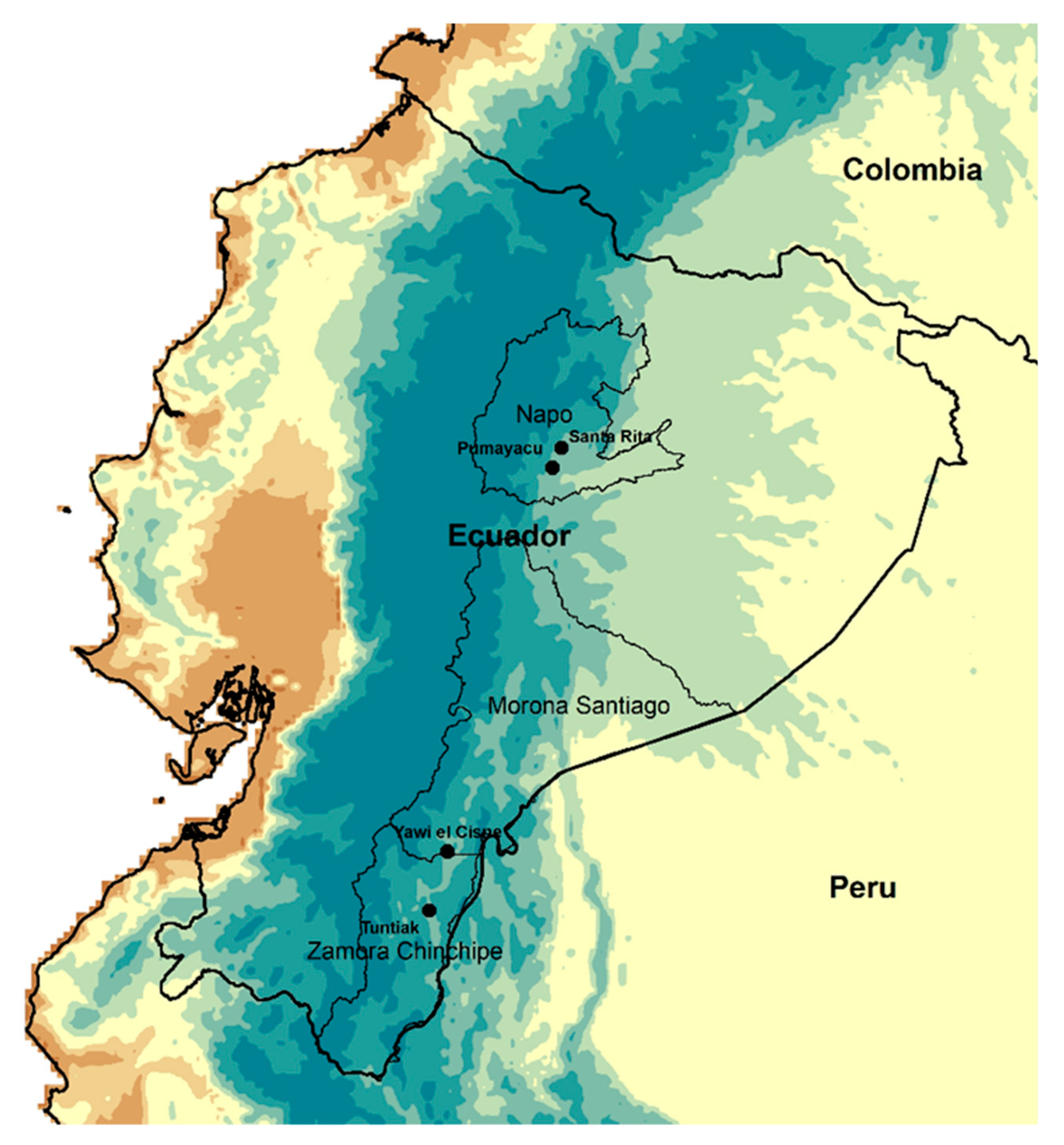 Sustainability 12 05934 g001 Sustainability 12 05934 g001