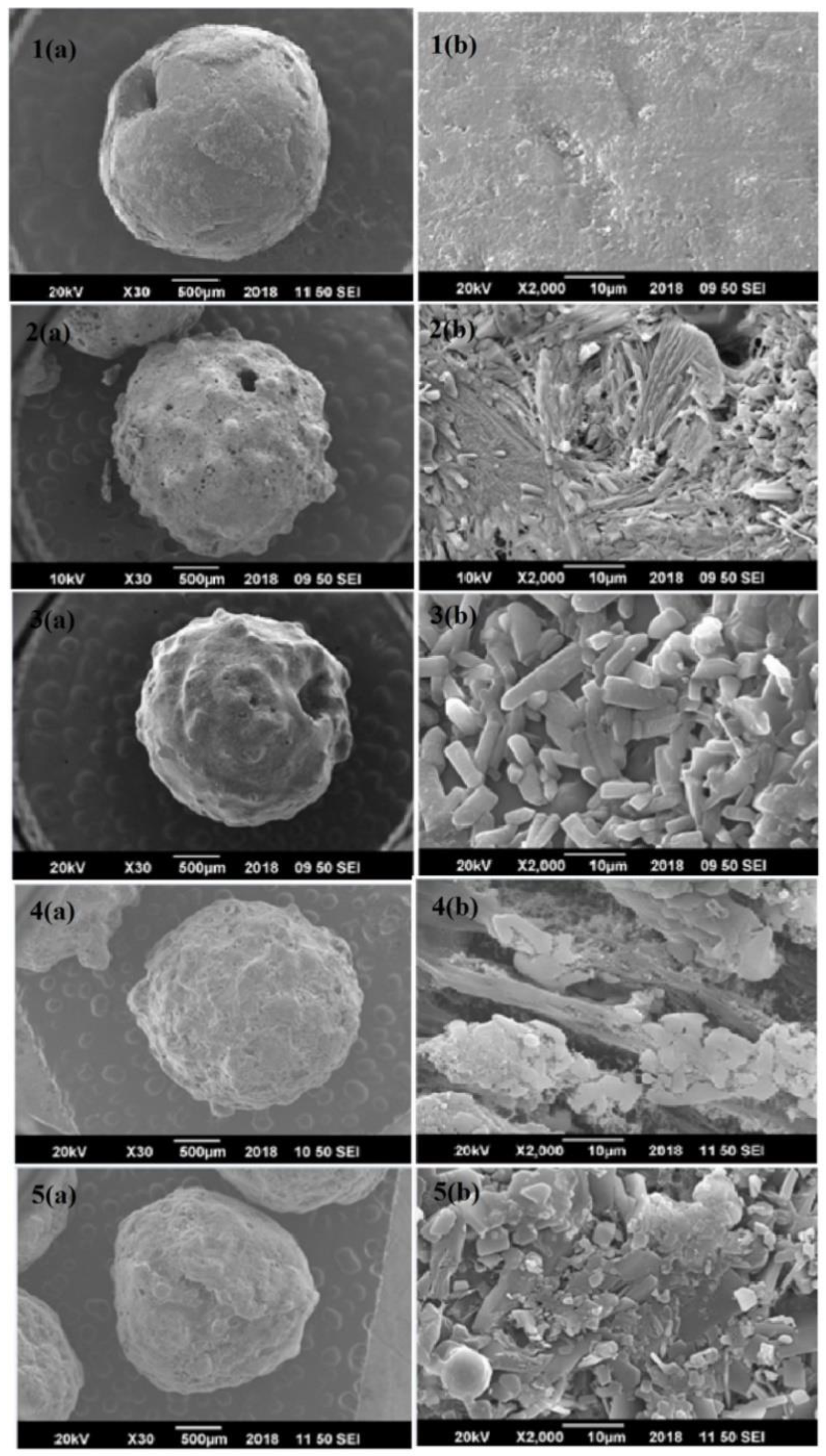 Sustainability 12 05944 g002