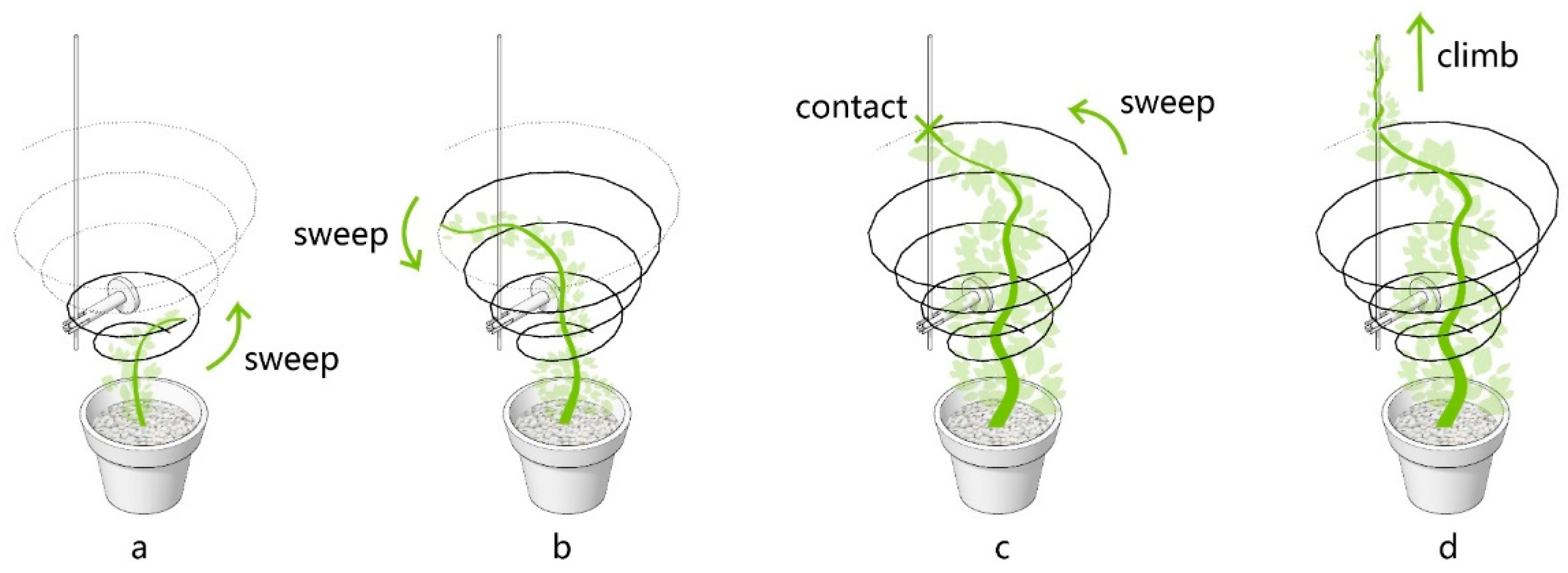 Sustainability 12 06004 g013 Sustainability 12 06004 g013