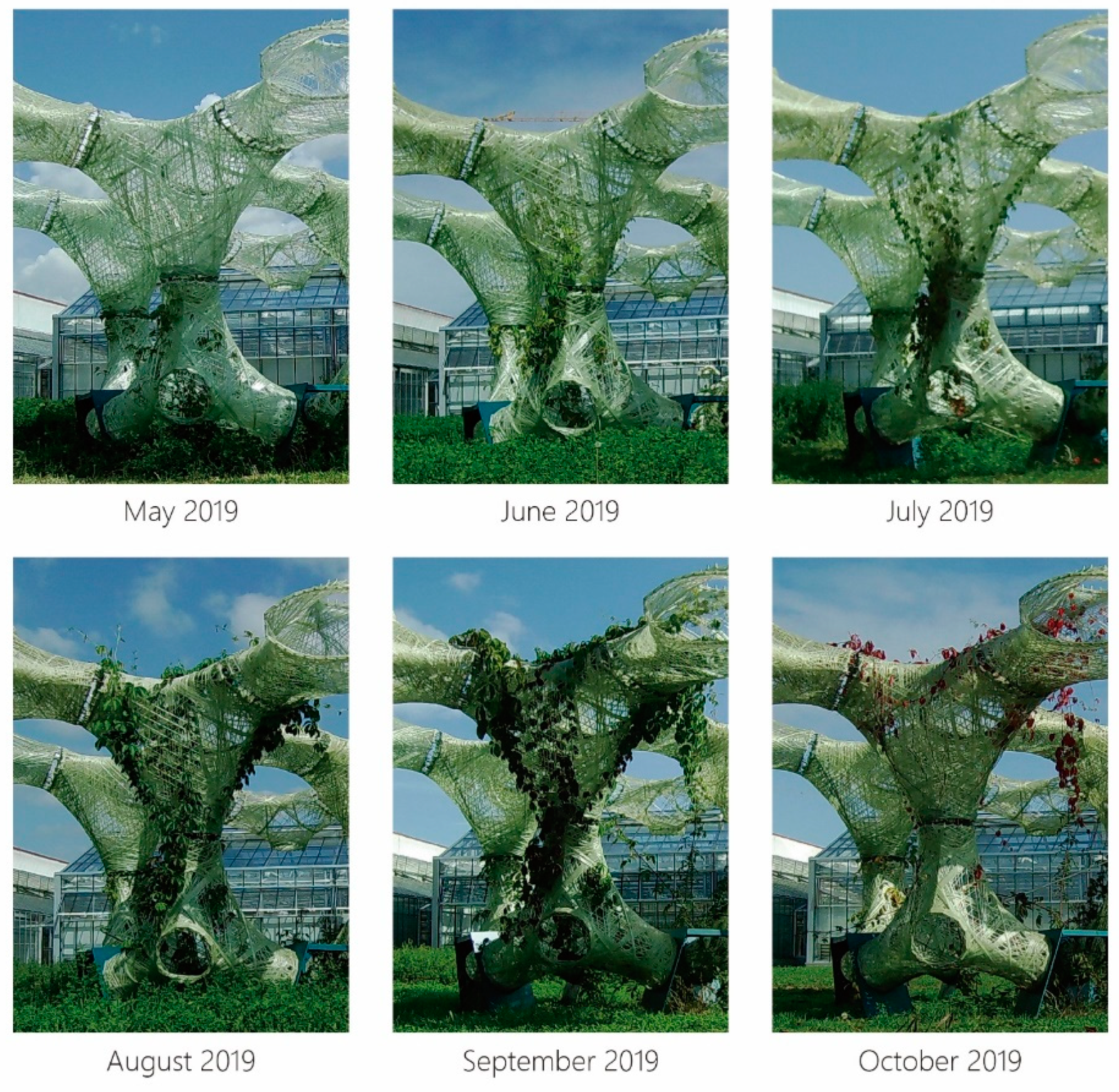 Sustainability 12 06004 g025 Sustainability 12 06004 g025