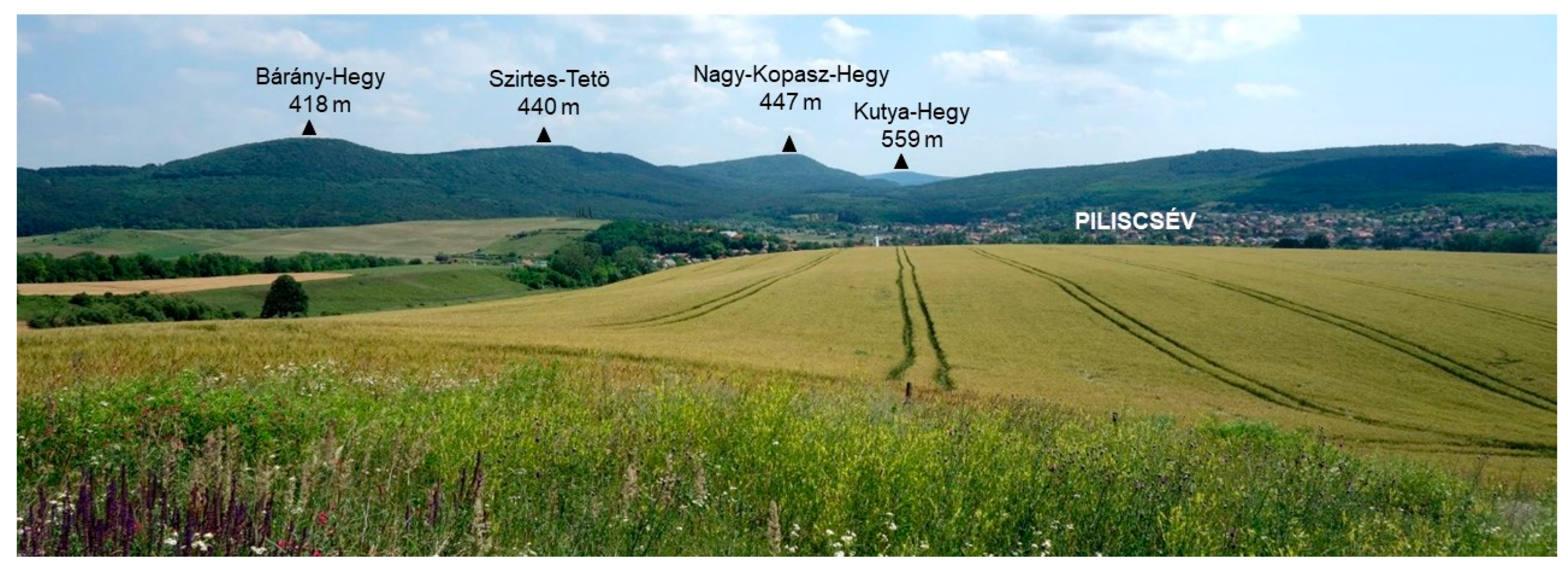 Sustainability 12 06048 g002