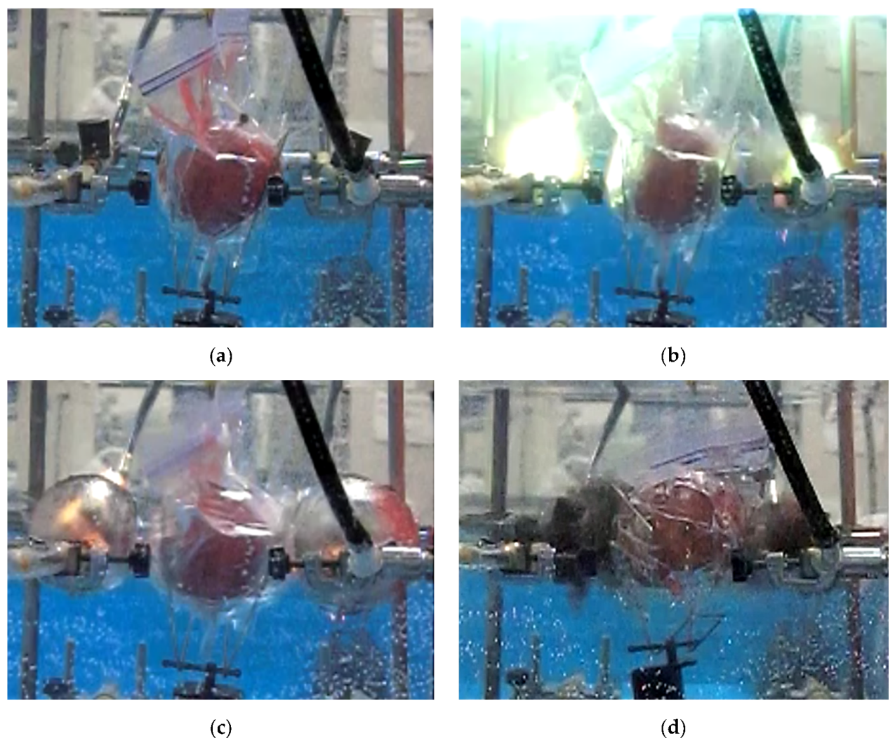 Sustainability 12 06095 g013 Sustainability 12 06095 g013