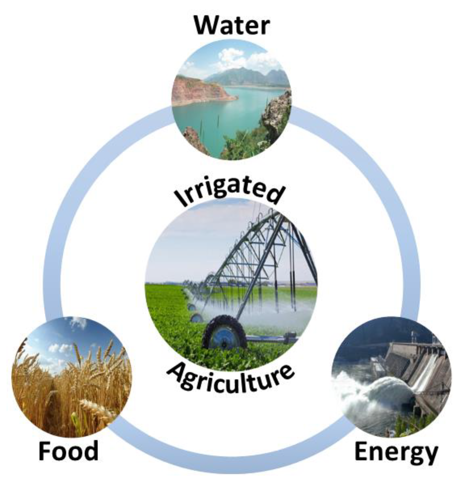 Eco-Sense  Regenerative Design: Water, Food, Energy, Lifestyle