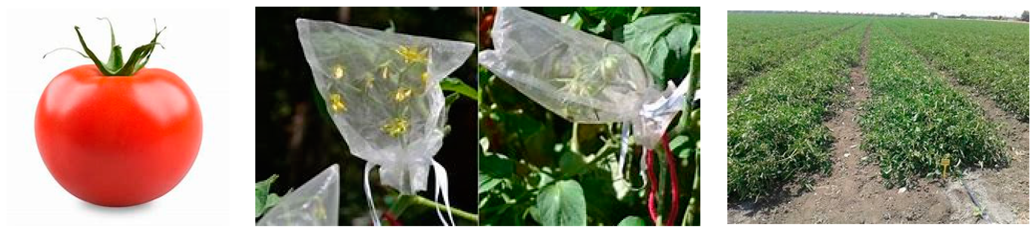 Sustainability 12 06297 g002 Sustainability 12 06297 g002