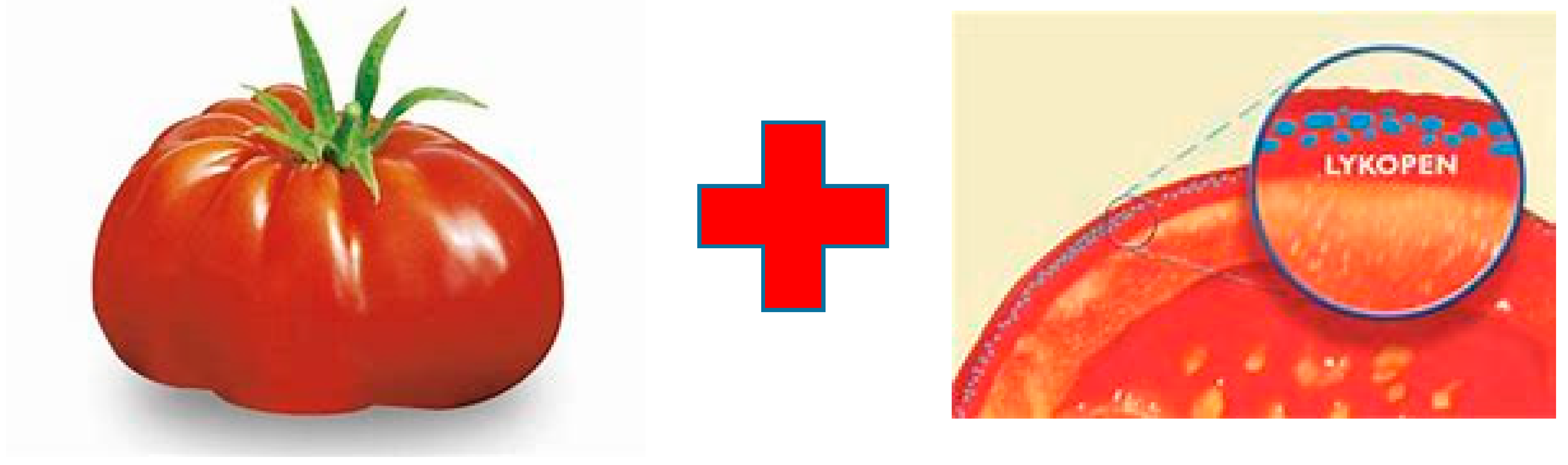 Sustainability 12 06297 g003 Sustainability 12 06297 g003