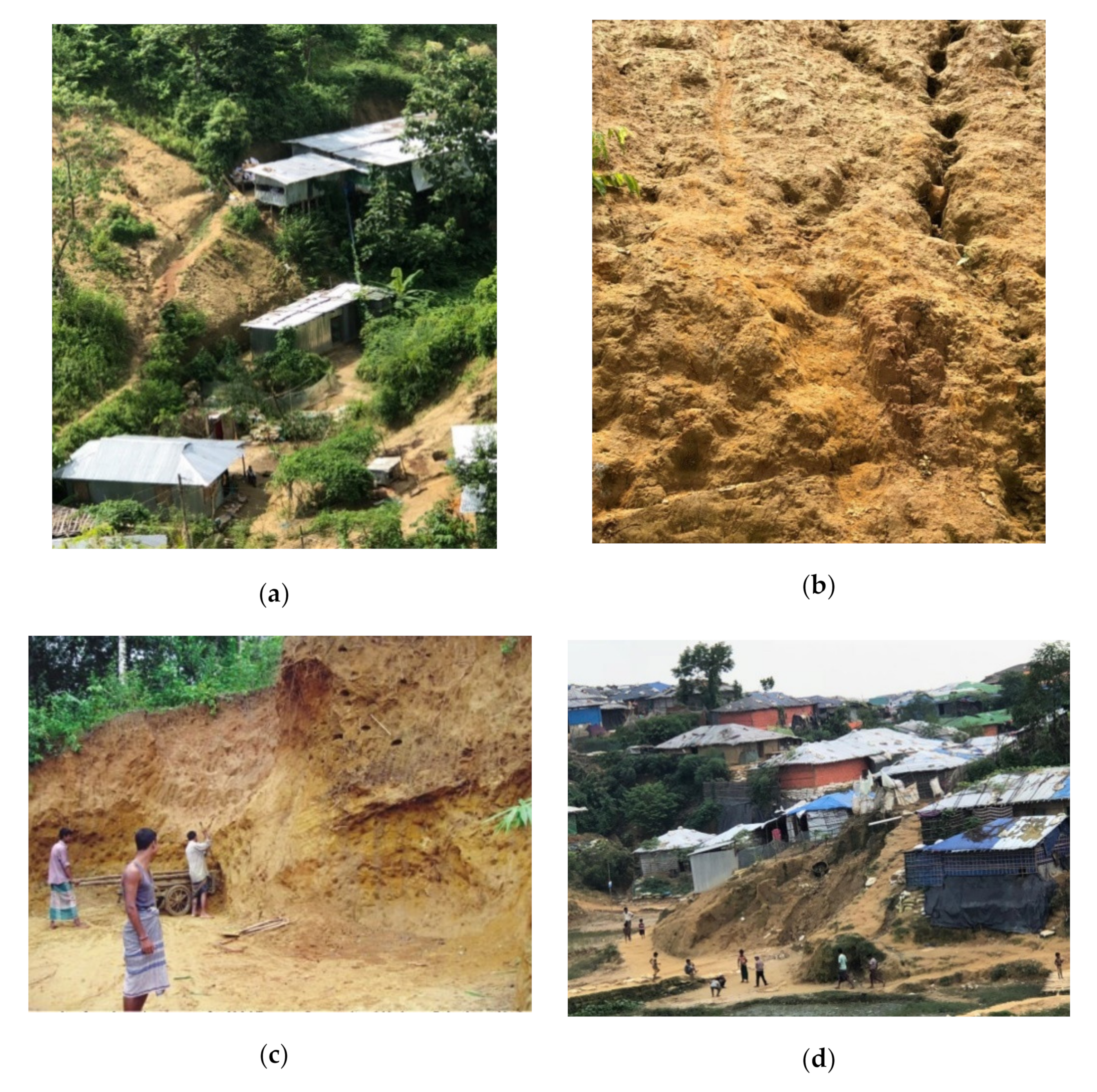 Sustainability 12 06305 g001