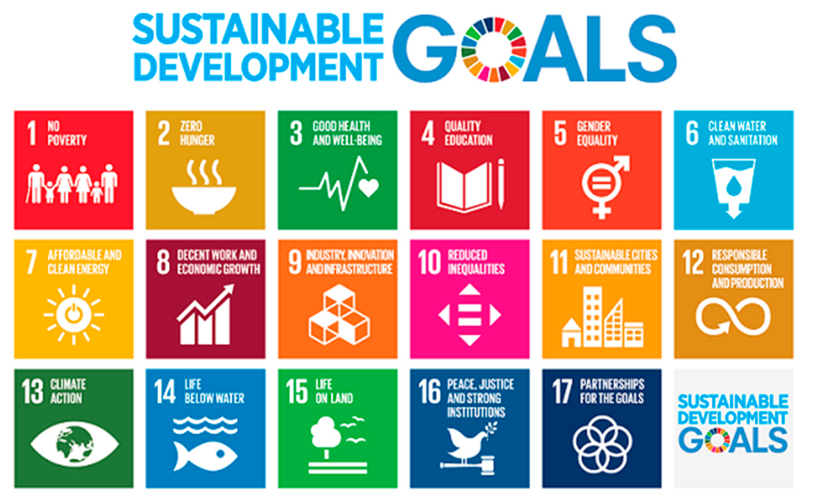 Sustainability 12 06377 g001