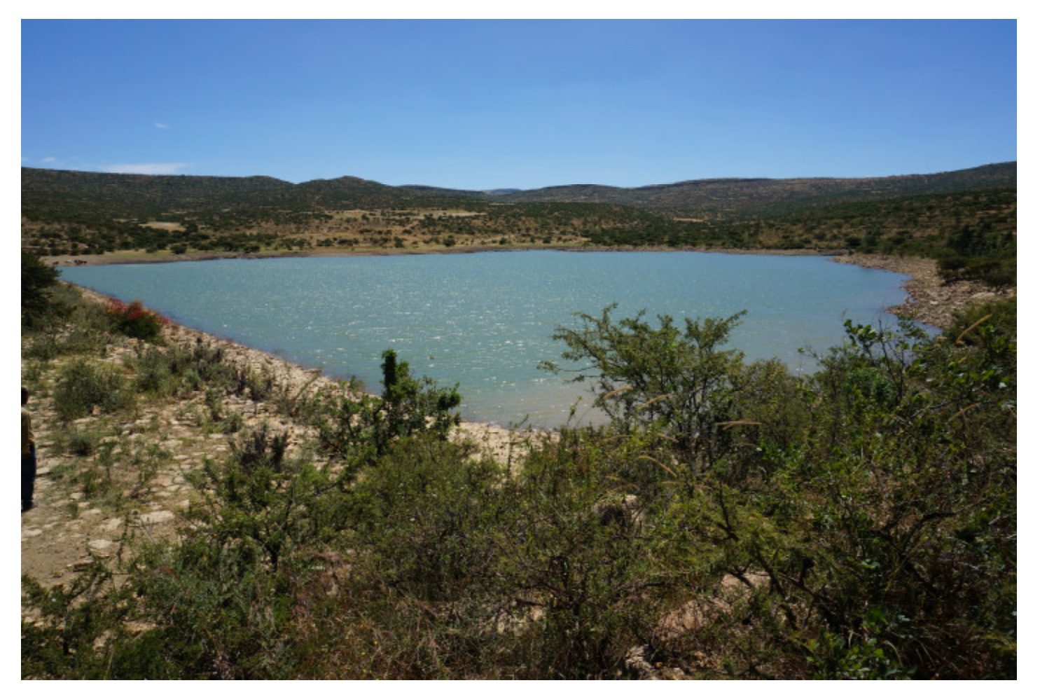 Sustainability 12 06388 g002 550