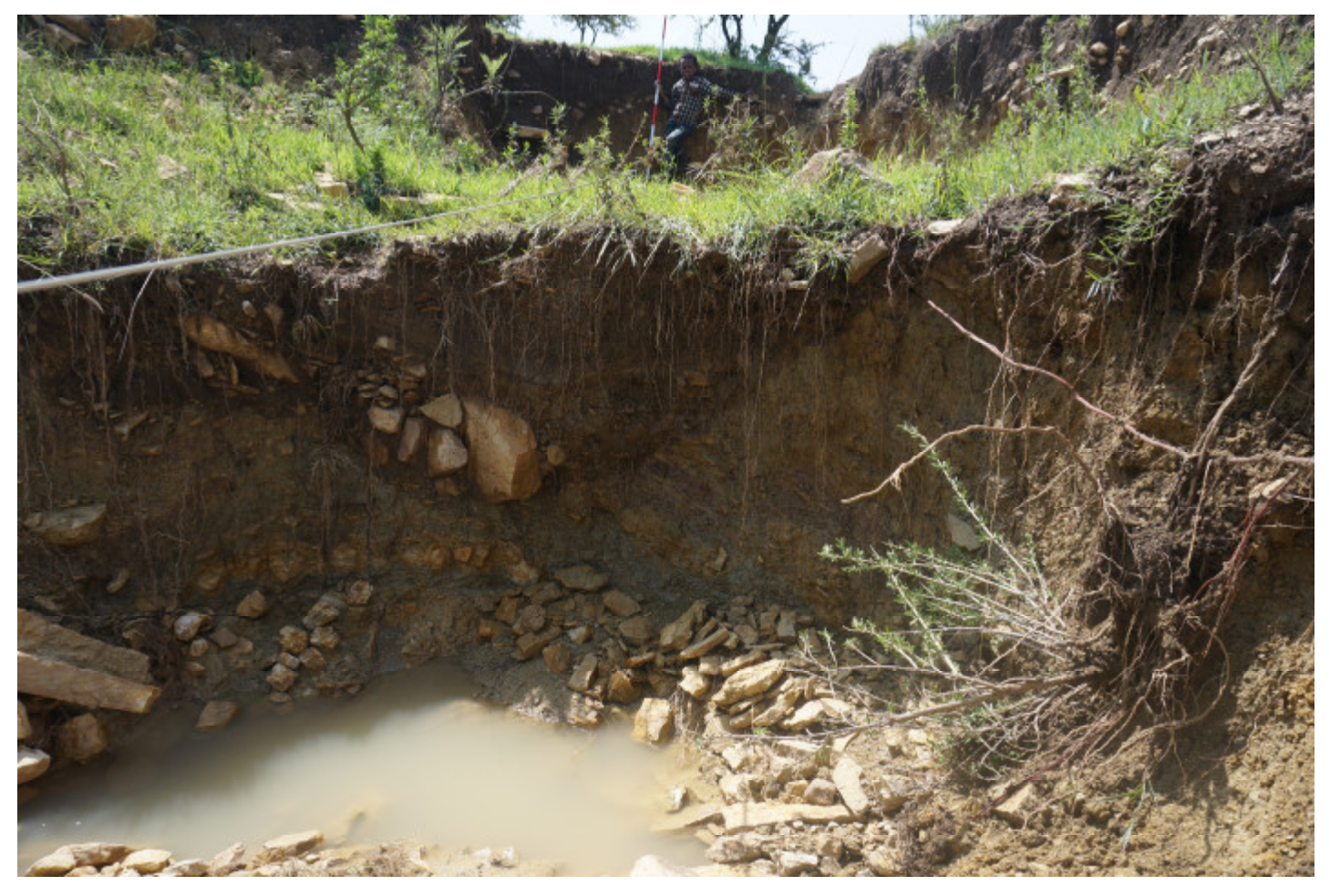 Sustainability 12 06388 g003 550