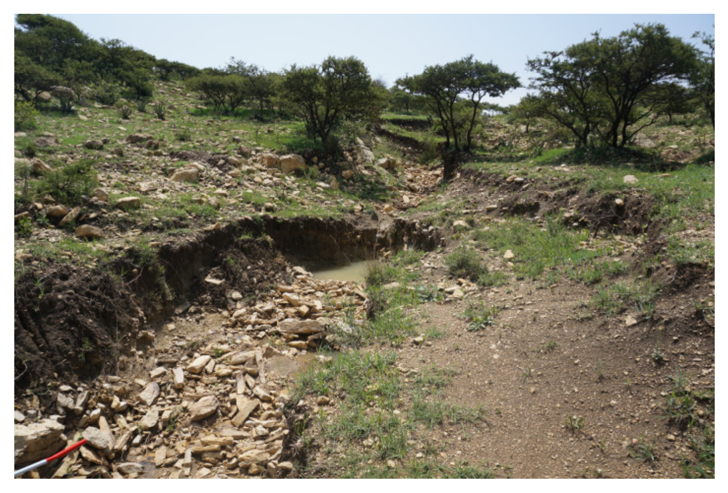 Sustainability 12 06388 g004 550