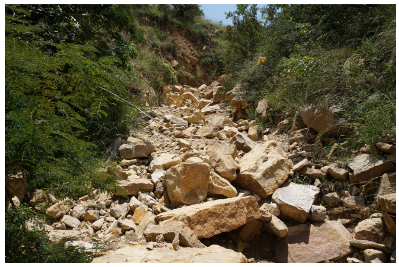 Sustainability 12 06388 g005 550