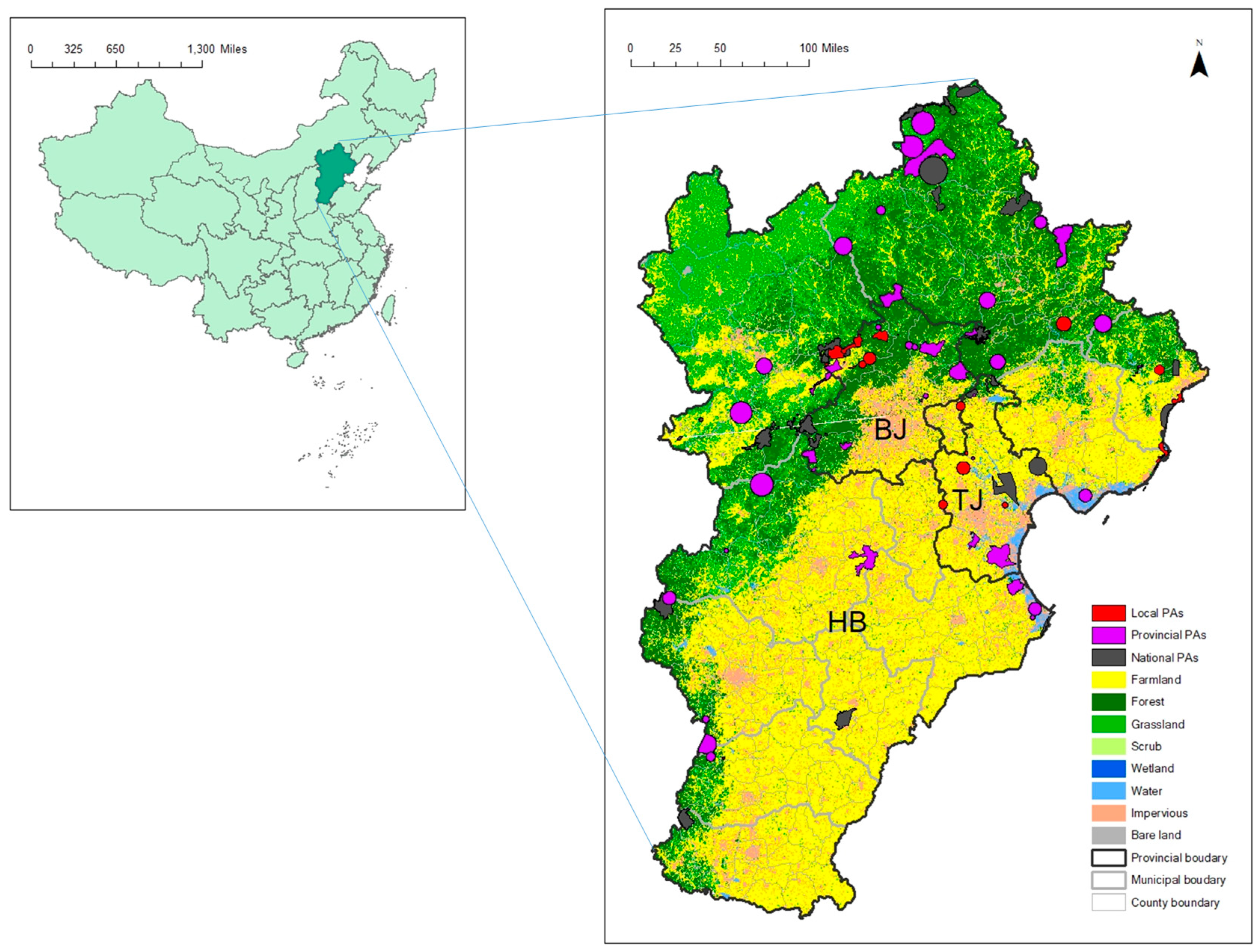 Sustainability 12 06404 g001