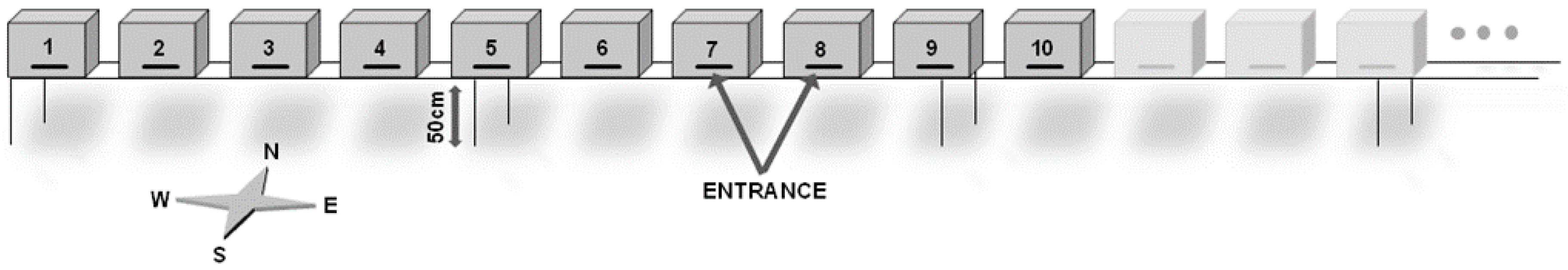 Sustainability 12 06431 g001 Sustainability 12 06431 g001