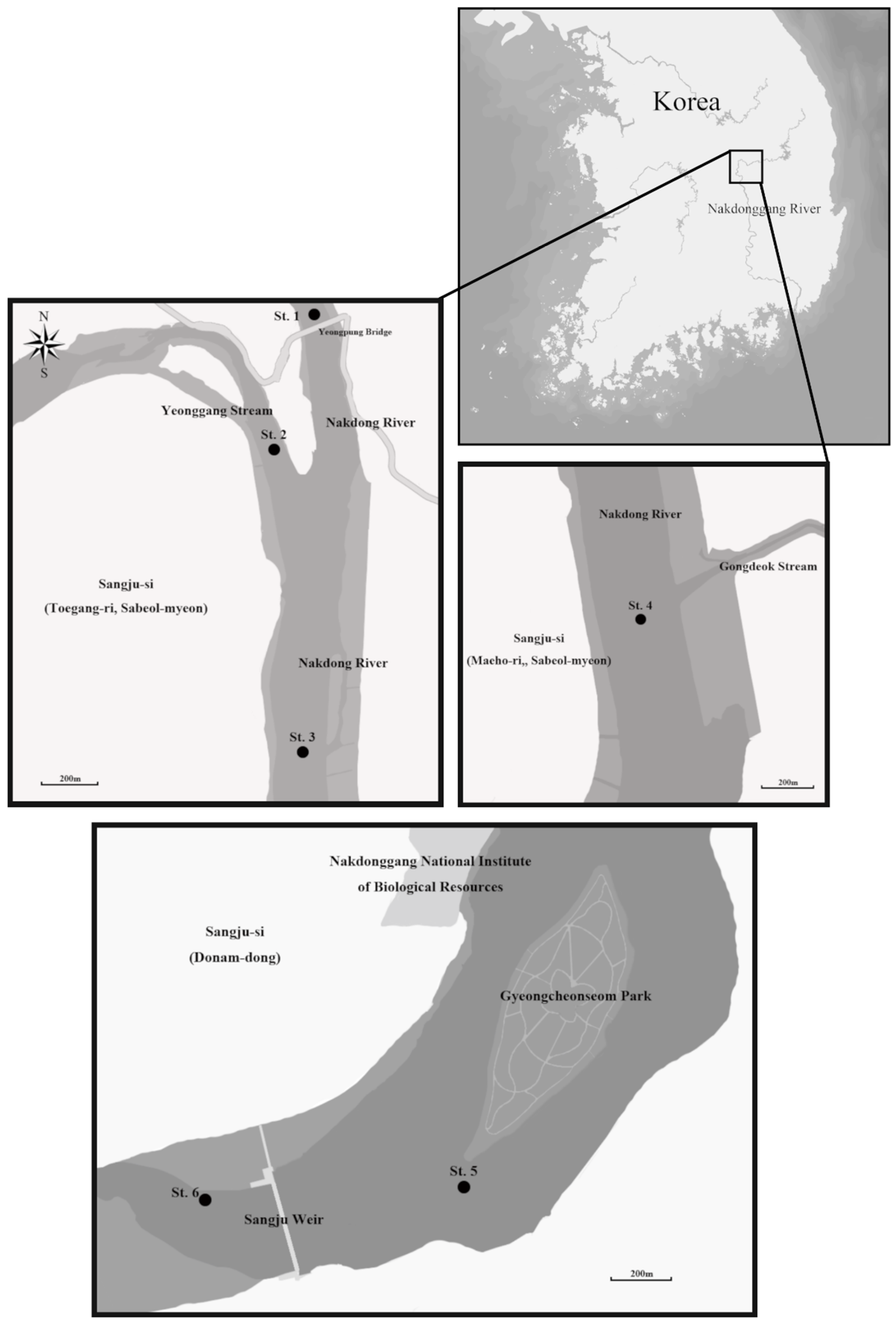 Sustainability 12 06442 g001