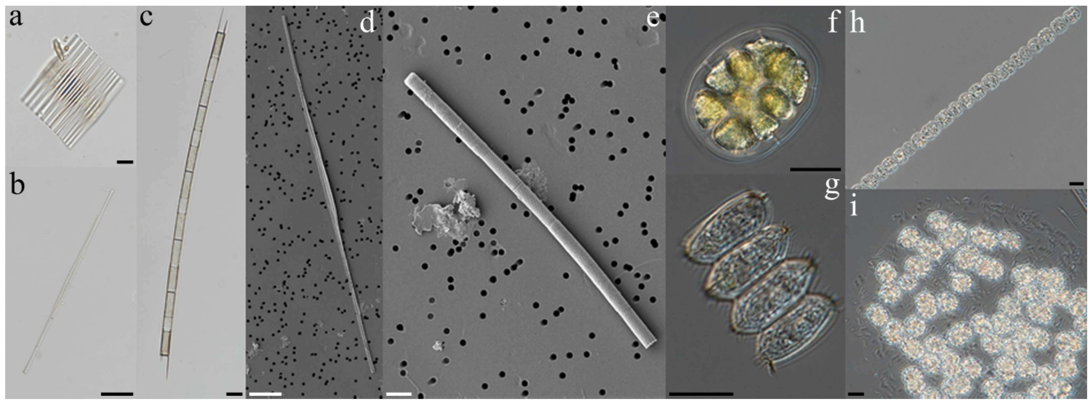 Sustainability 12 06442 g004