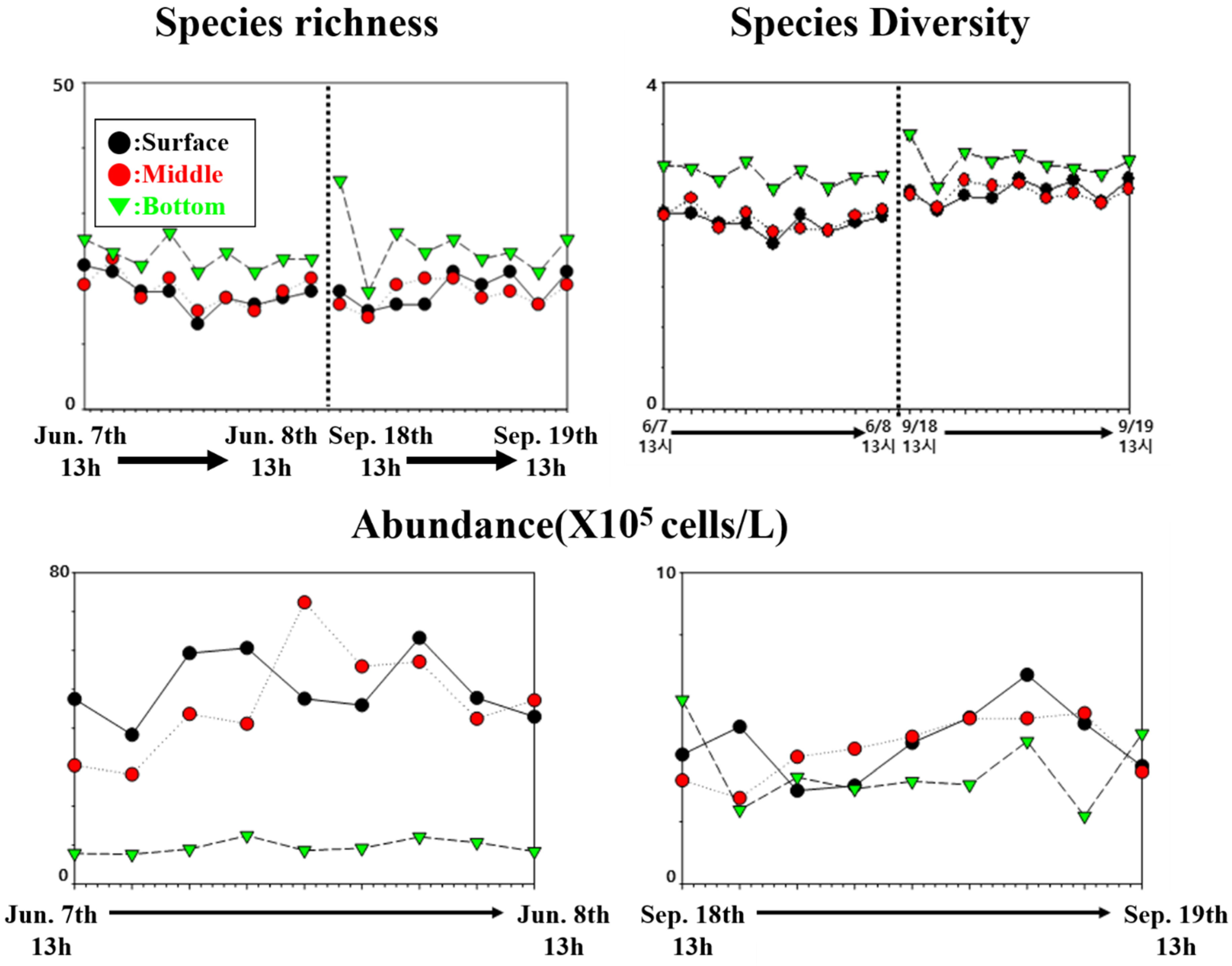 Sustainability 12 06442 g006