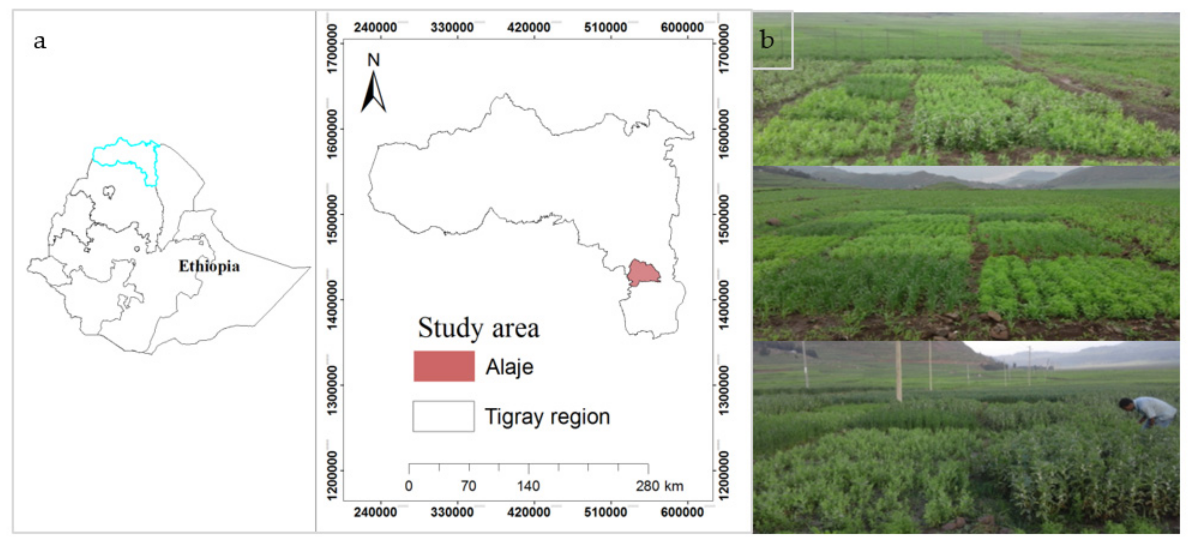 Sustainability 12 06449 g001