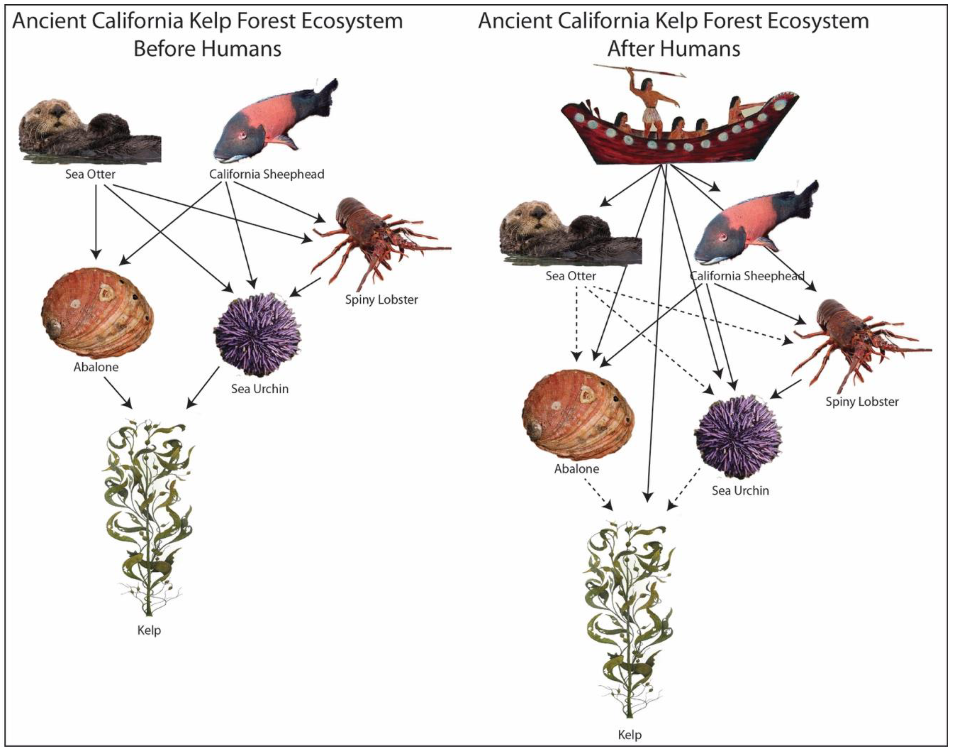 Sustainability 12 06459 g001