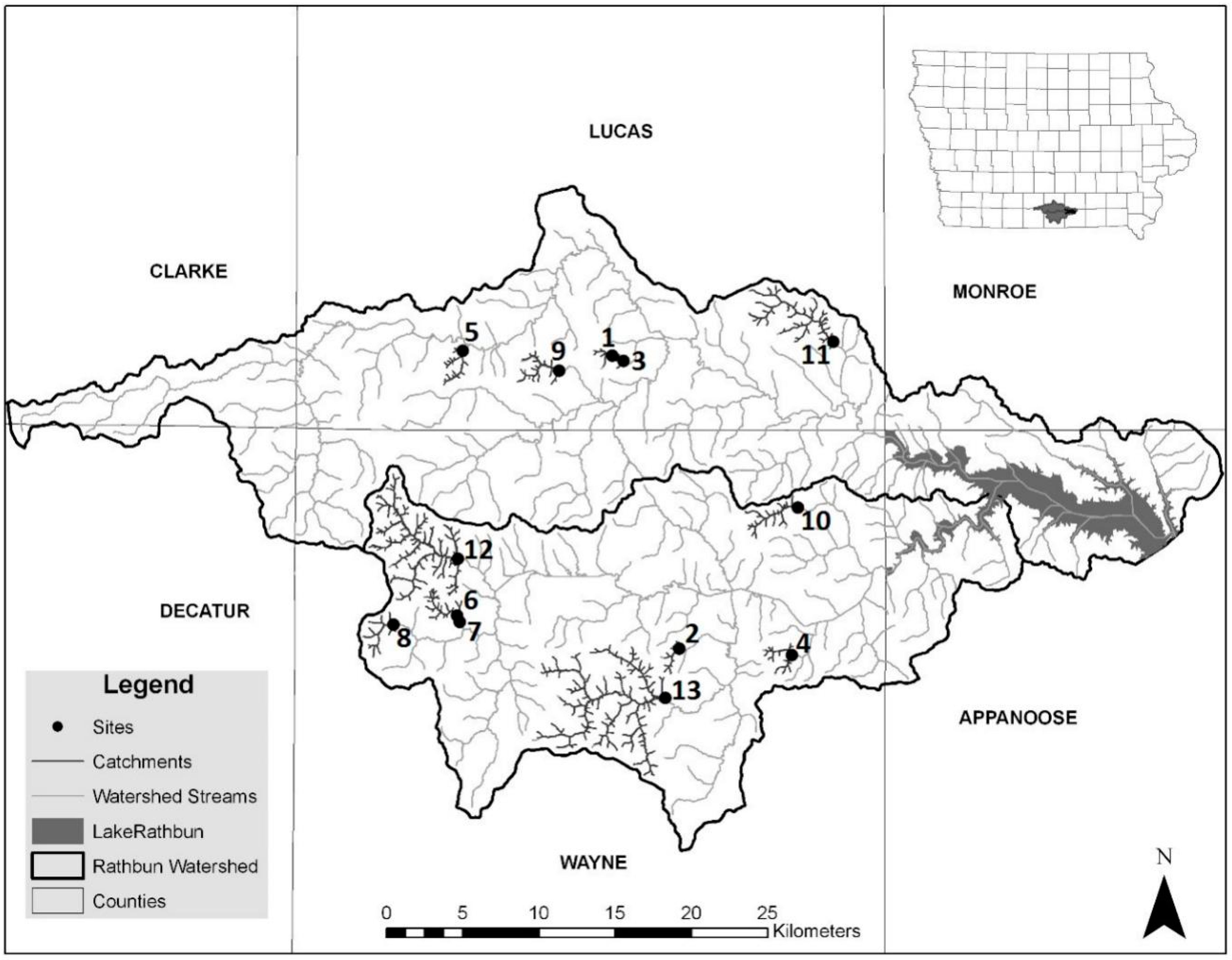 Sustainability 12 06461 g001 Sustainability 12 06461 g001