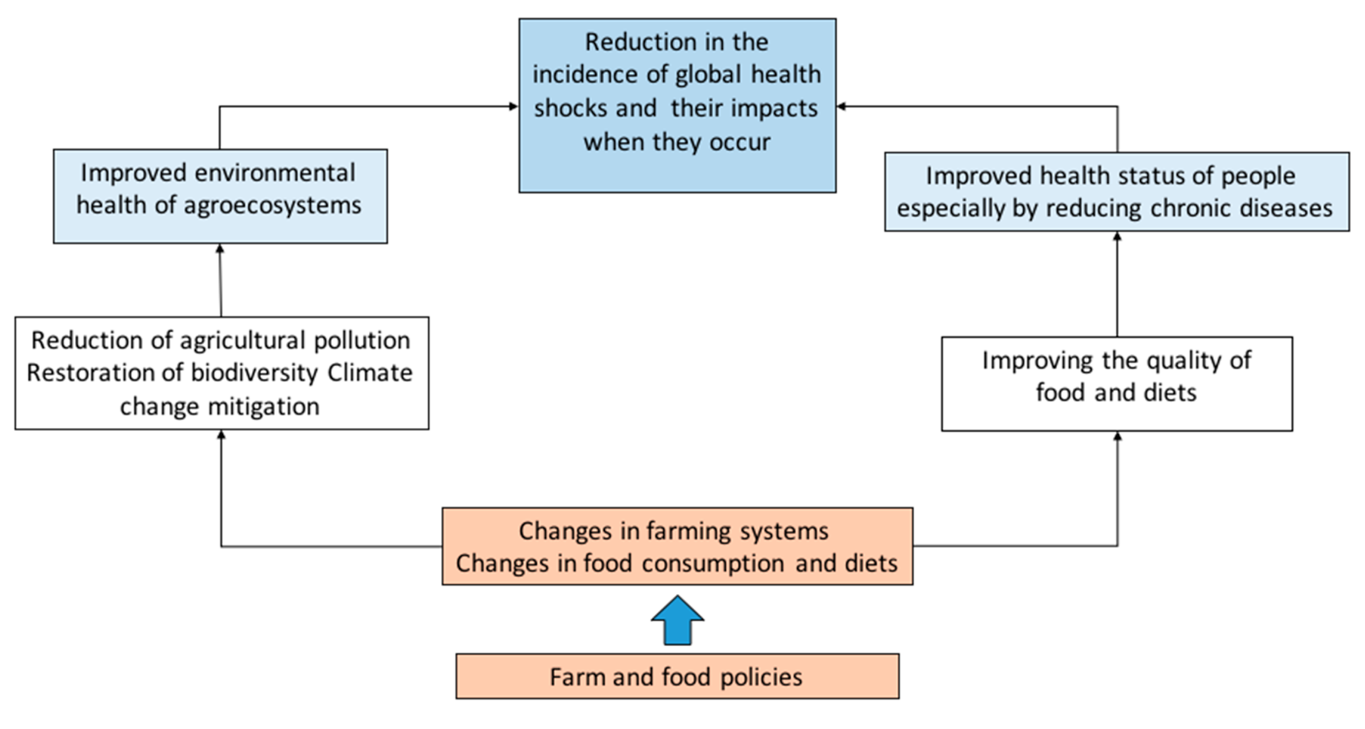 Sustainability 12 06462 g001 Sustainability 12 06462 g001