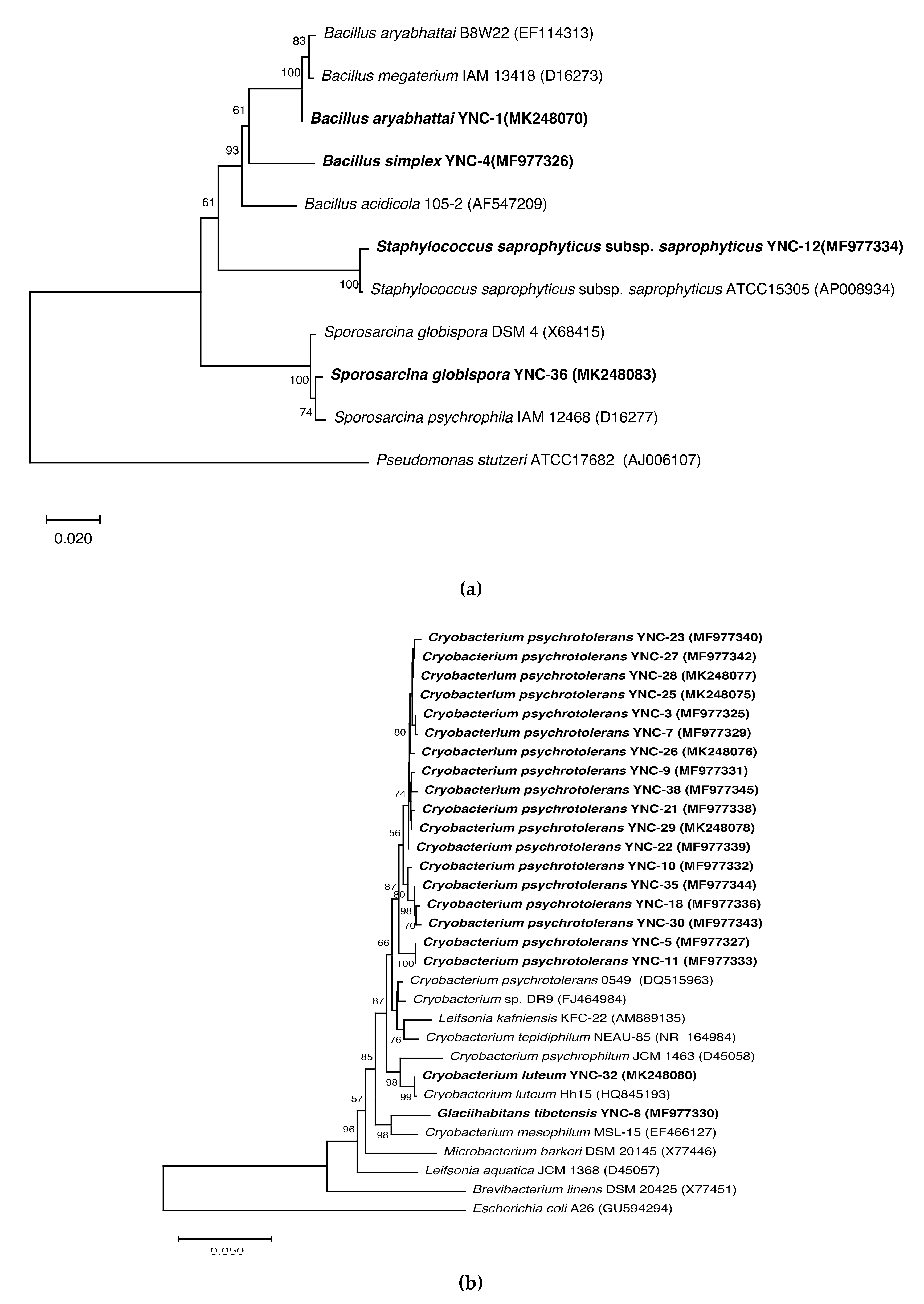 Sustainability 12 06477 g002a Sustainability 12 06477 g002a