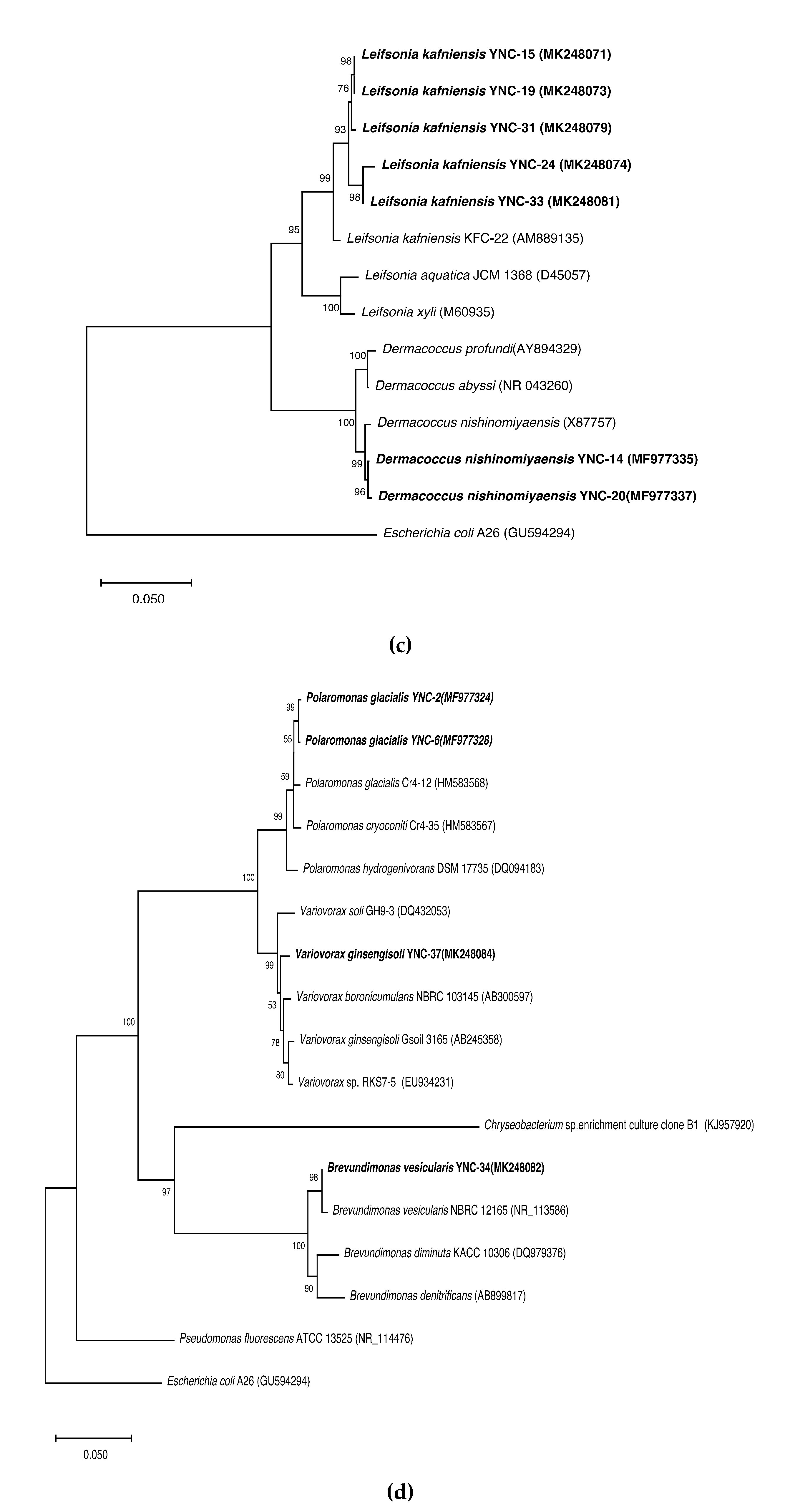 Sustainability 12 06477 g002b Sustainability 12 06477 g002b