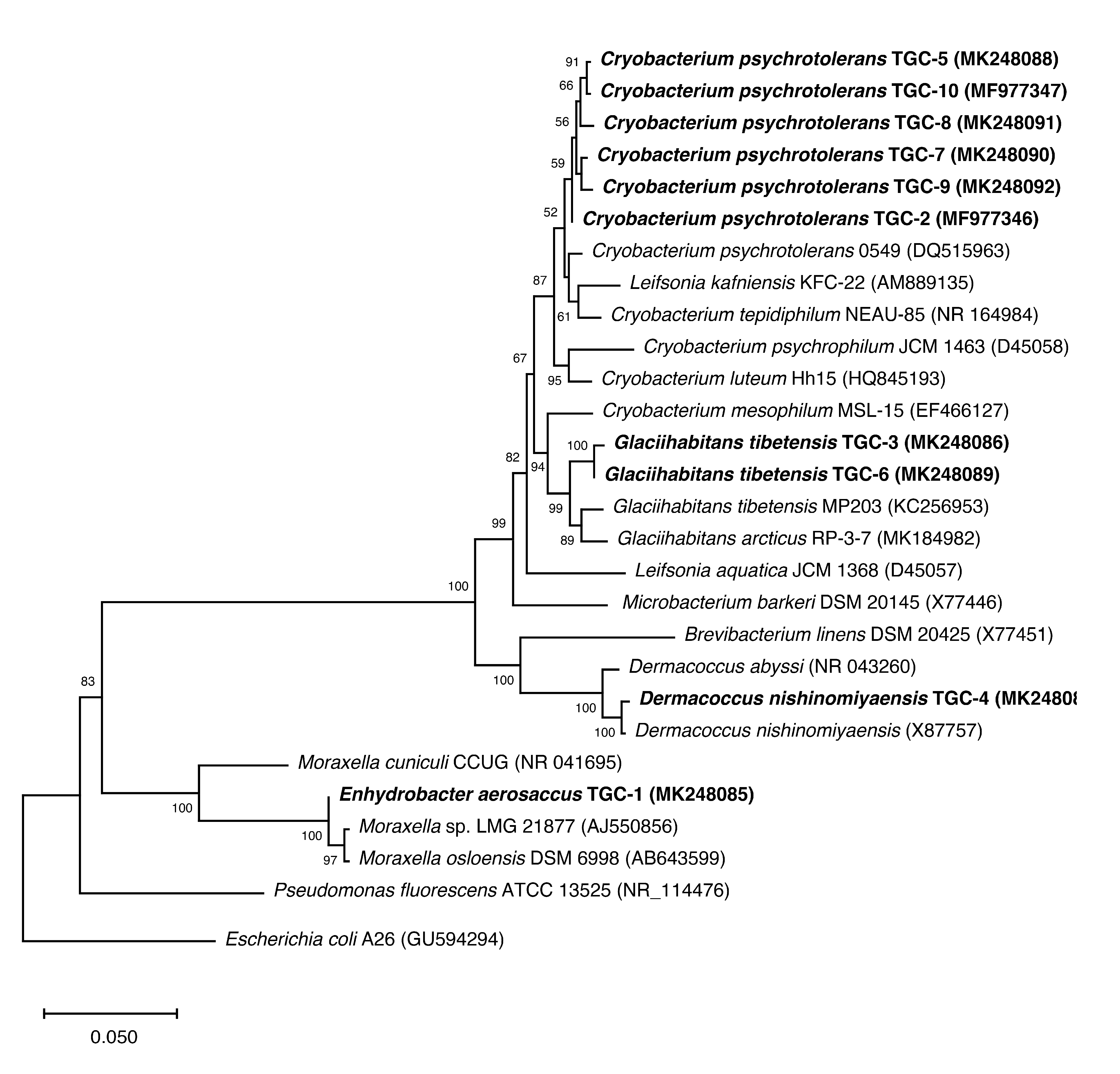 Sustainability 12 06477 g003 Sustainability 12 06477 g003
