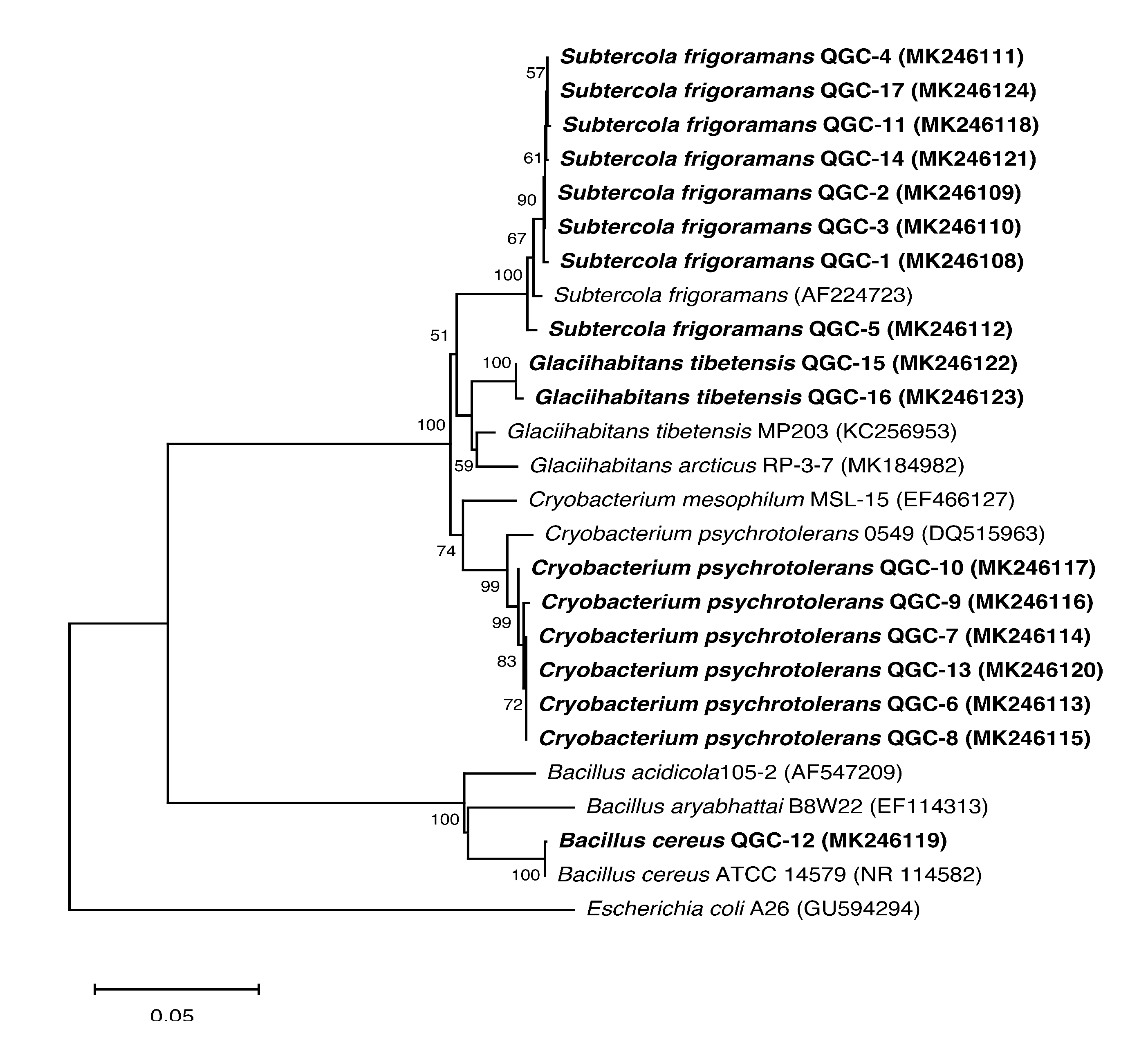 Sustainability 12 06477 g005 Sustainability 12 06477 g005