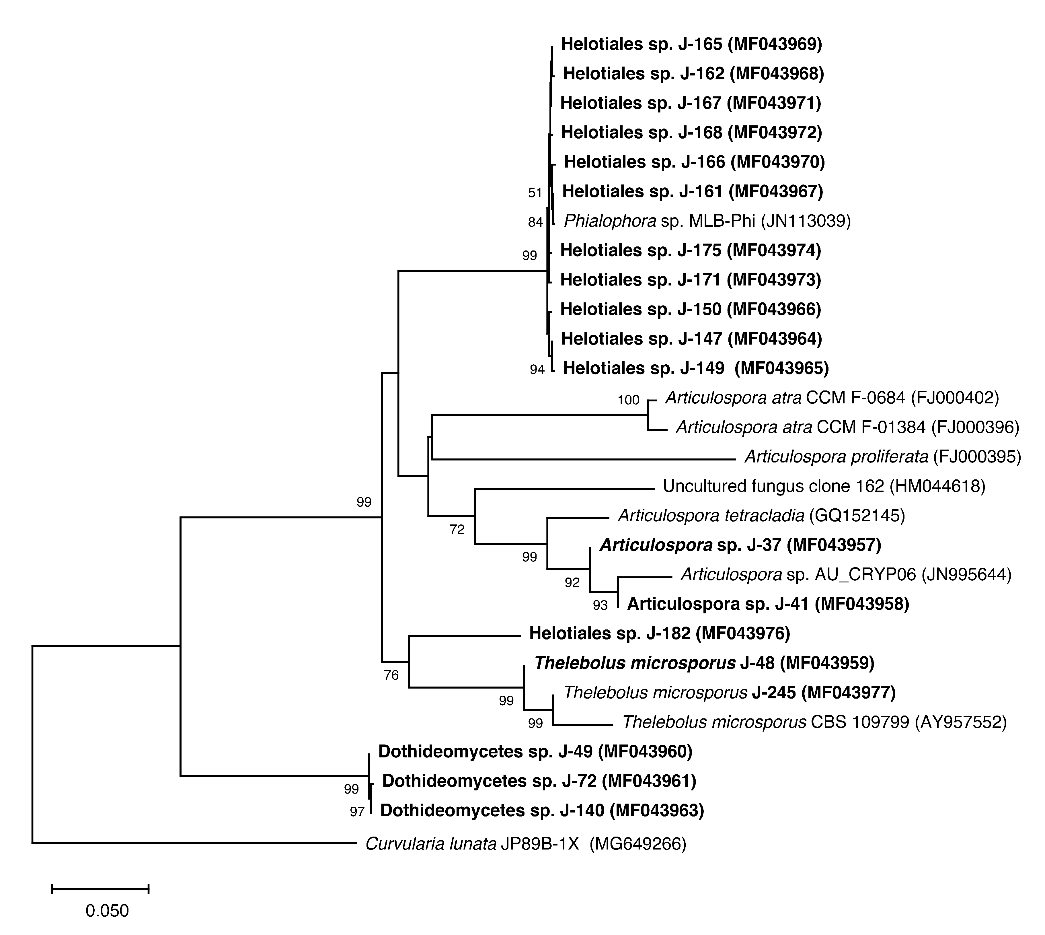 Sustainability 12 06477 g007 Sustainability 12 06477 g007