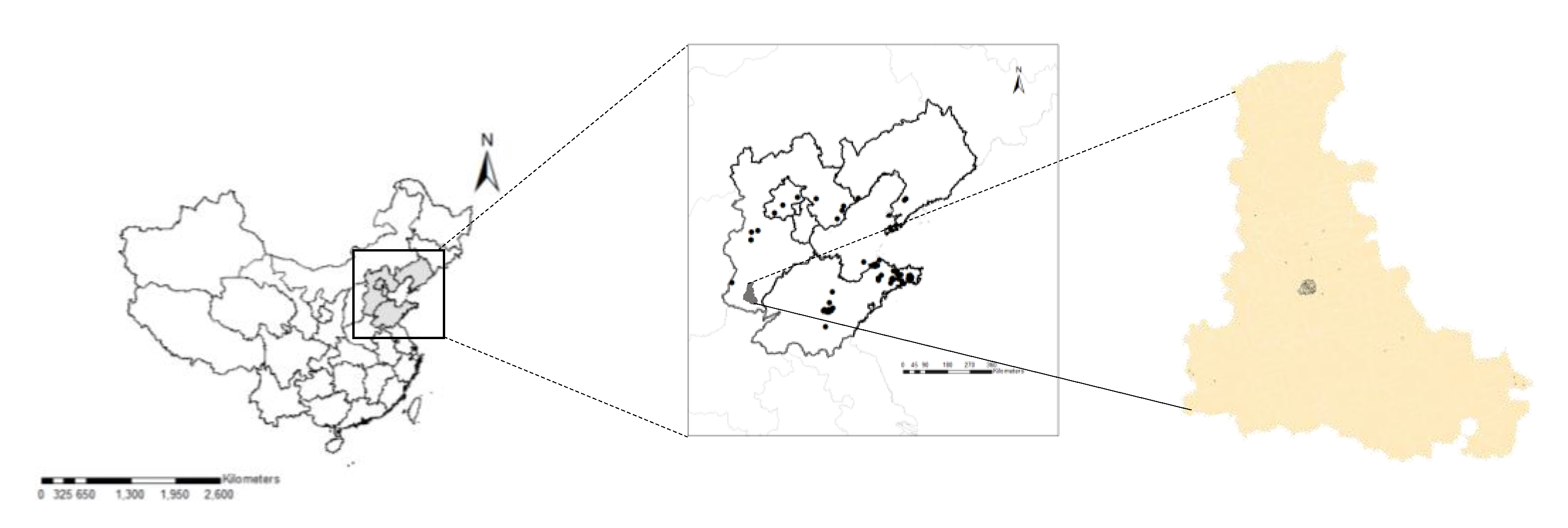 Sustainability 12 06496 g001 Sustainability 12 06496 g001