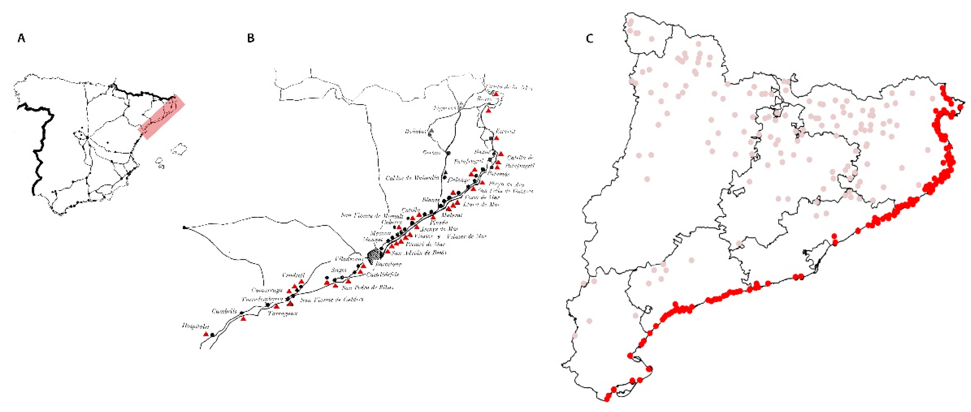Sustainability 12 06499 g002