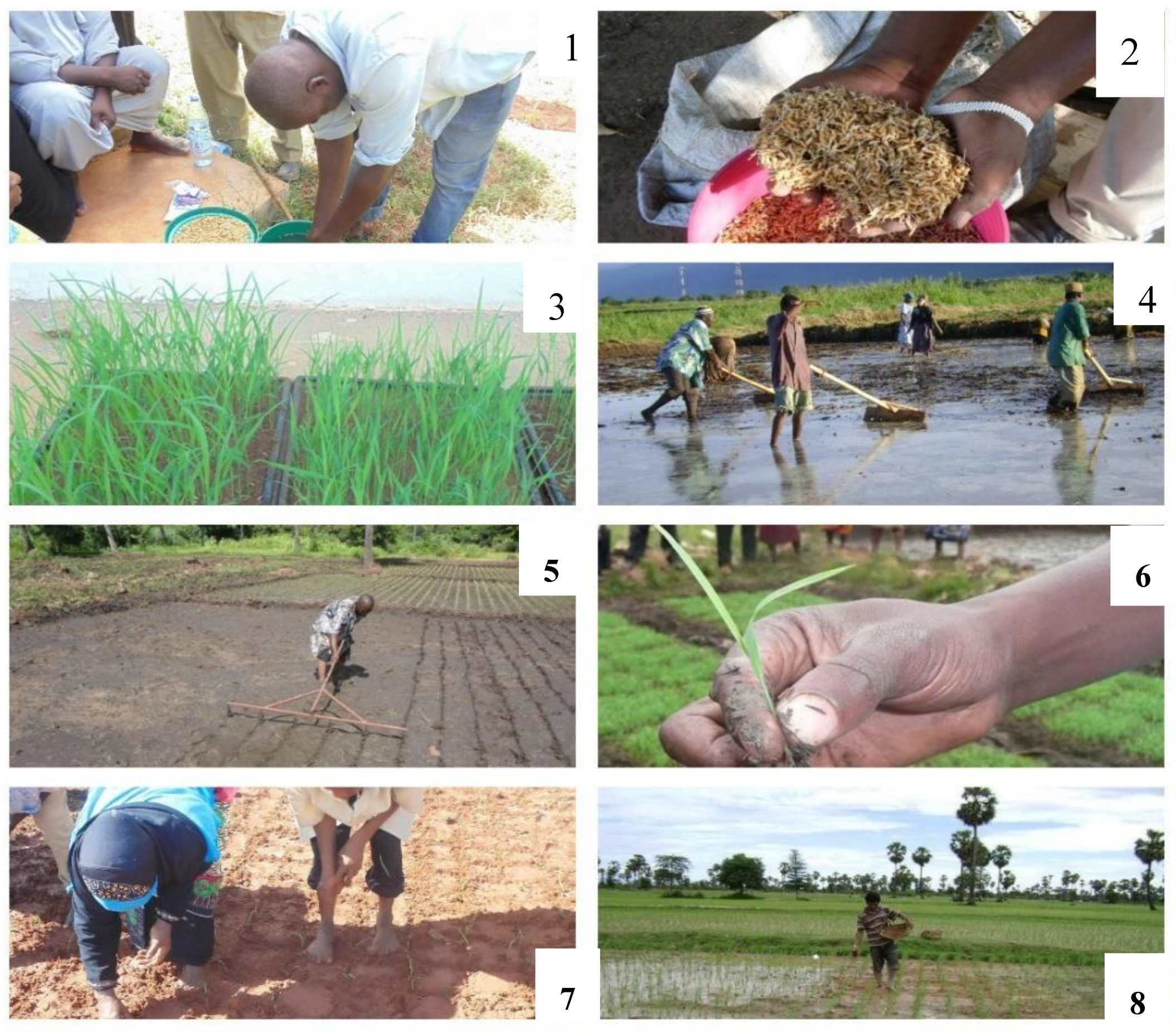 Sustainability 12 06528 g0a1 Sustainability 12 06528 g0a1