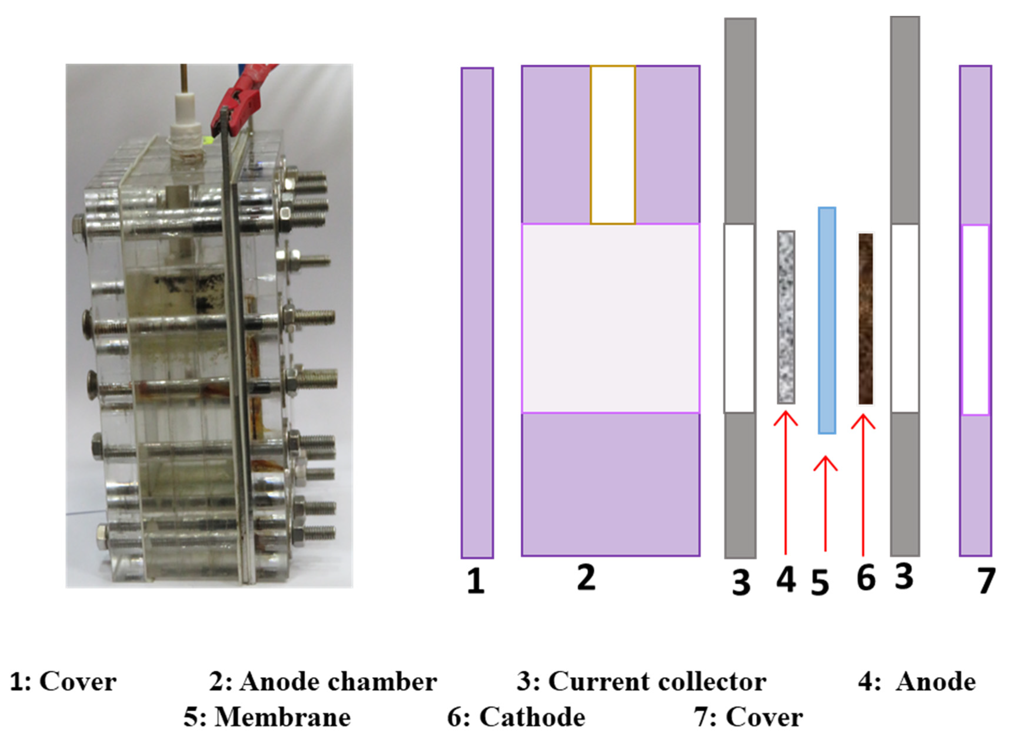 Sustainability 12 06538 g001 Sustainability 12 06538 g001