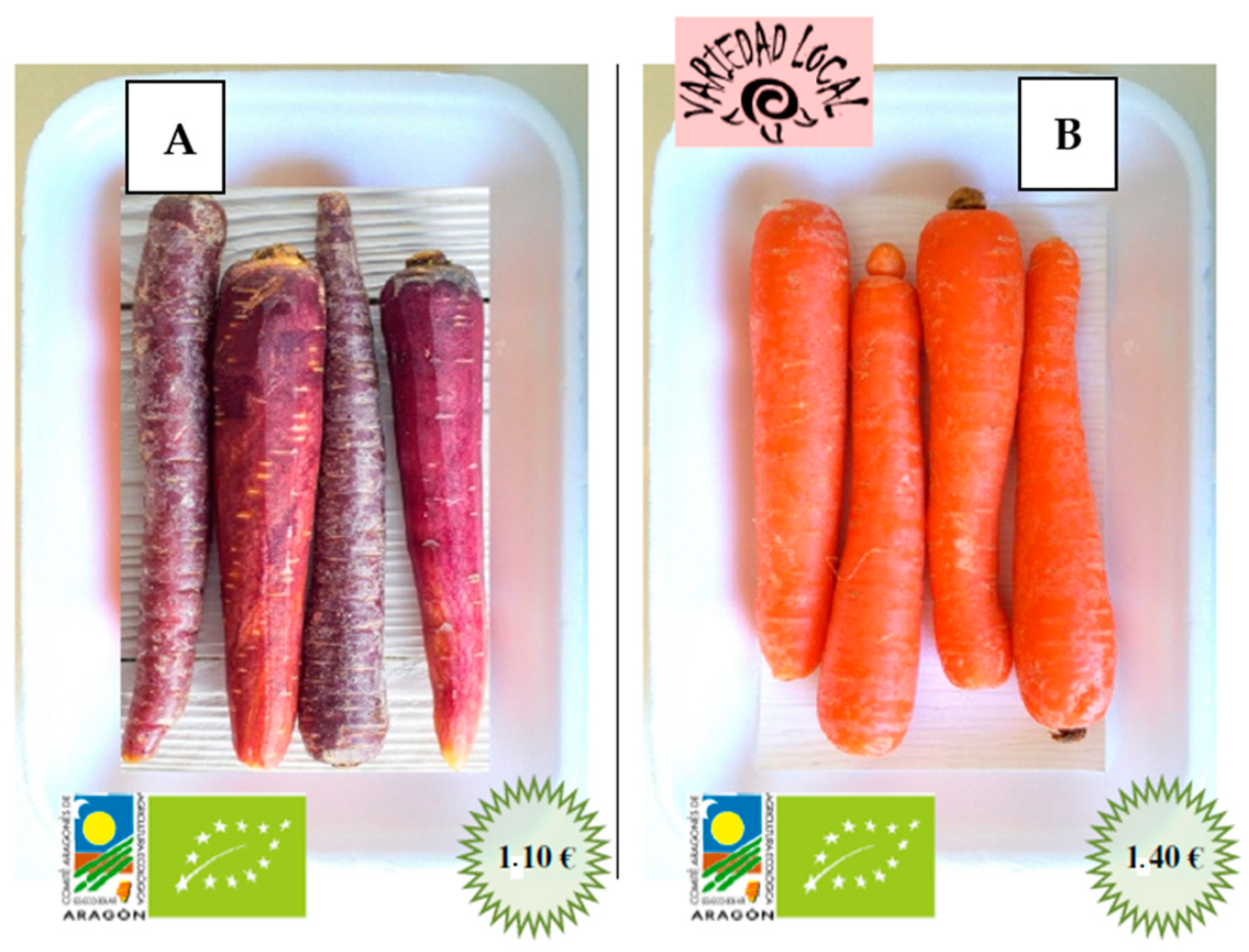 Sustainability 12 06549 g002