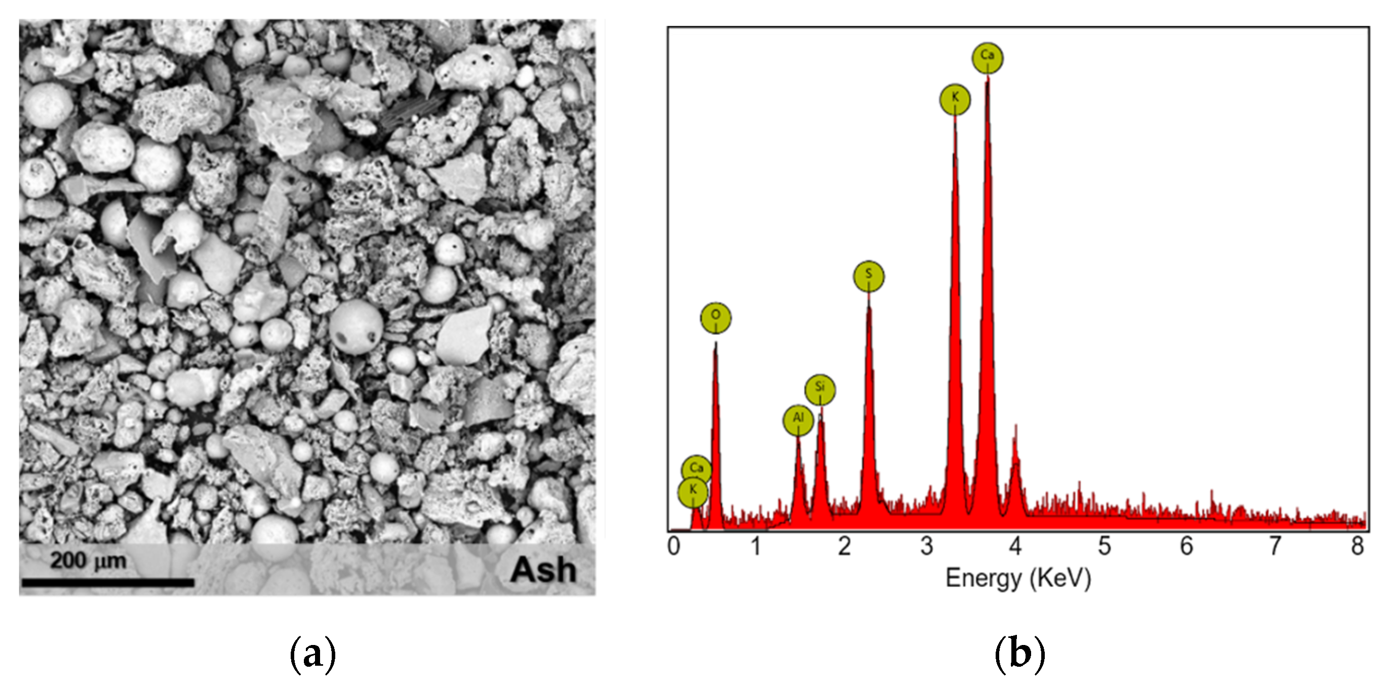 Sustainability 12 06552 g002