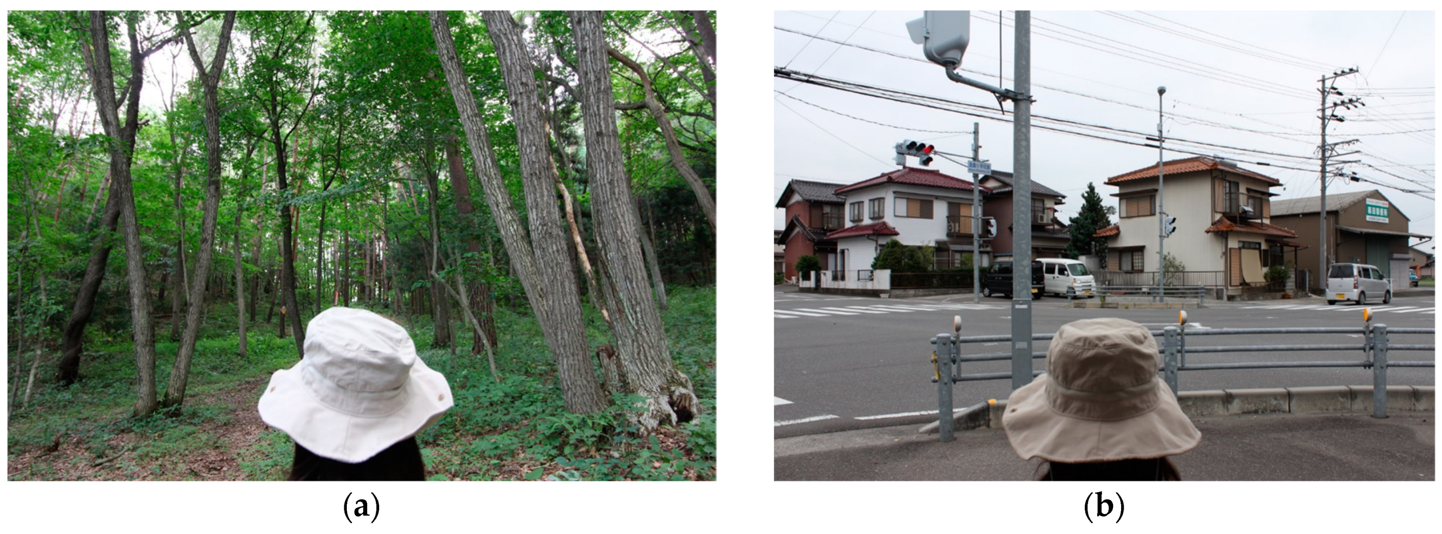 Sustainability 12 06601 g003