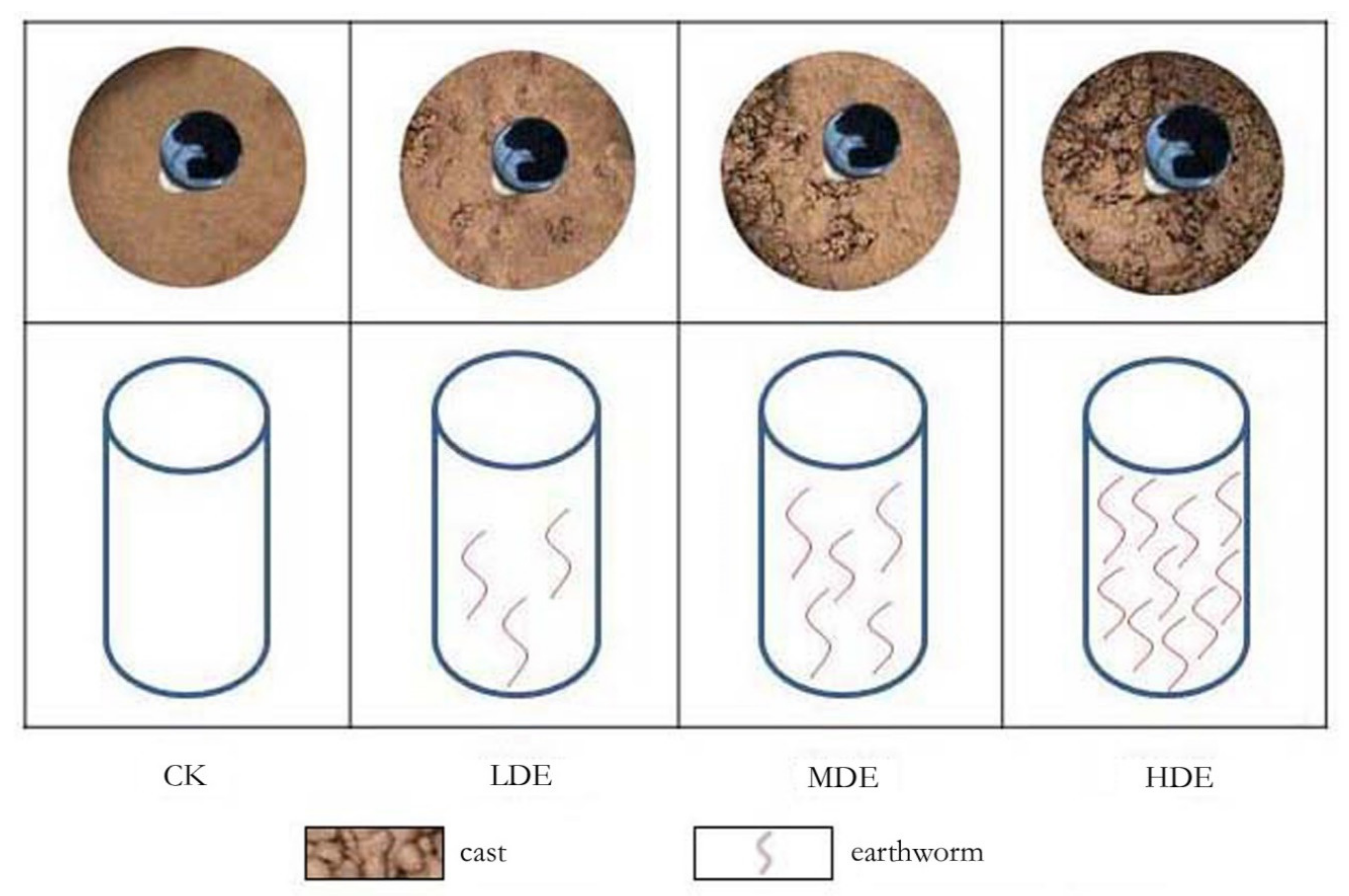 Sustainability 12 06603 g002
