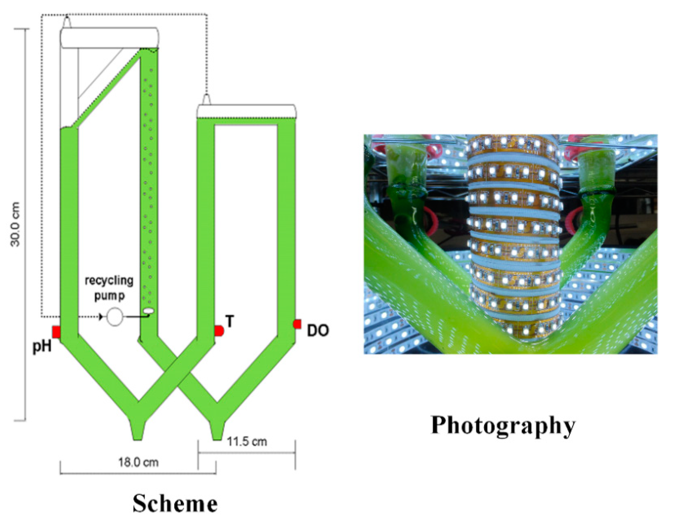 Sustainability 12 06610 g001 Sustainability 12 06610 g001