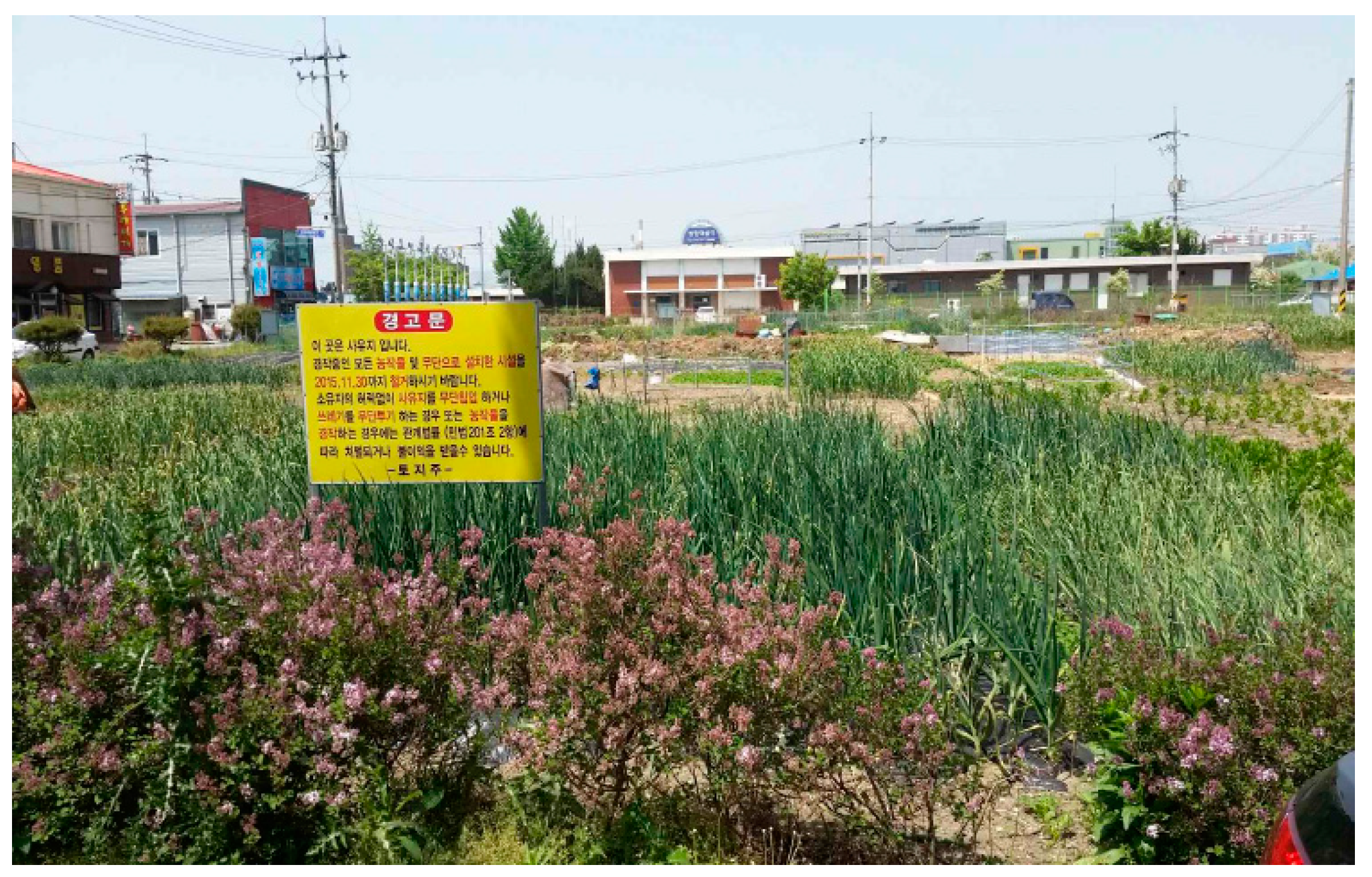 Sustainability 12 06621 g004