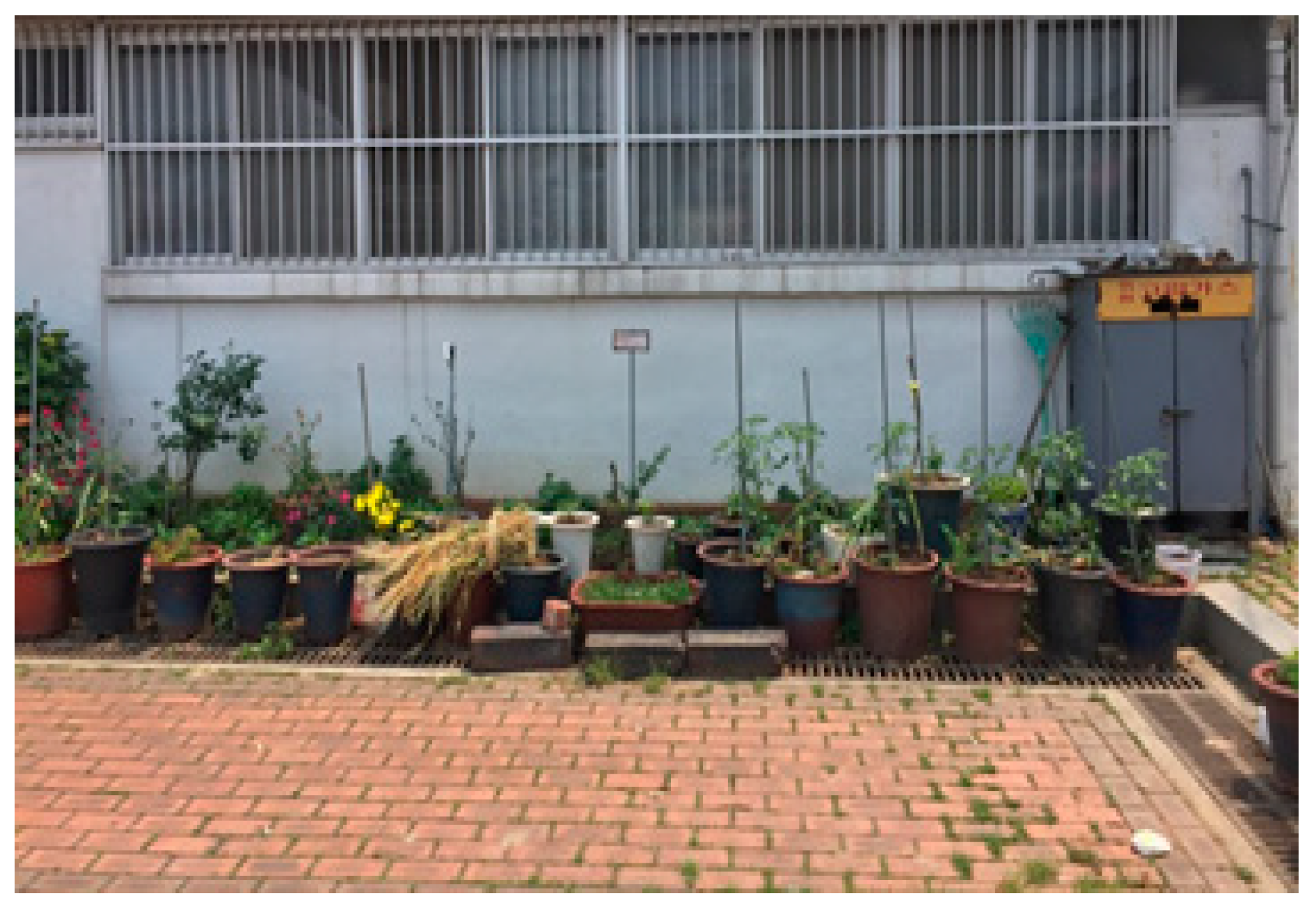 Sustainability 12 06621 g008