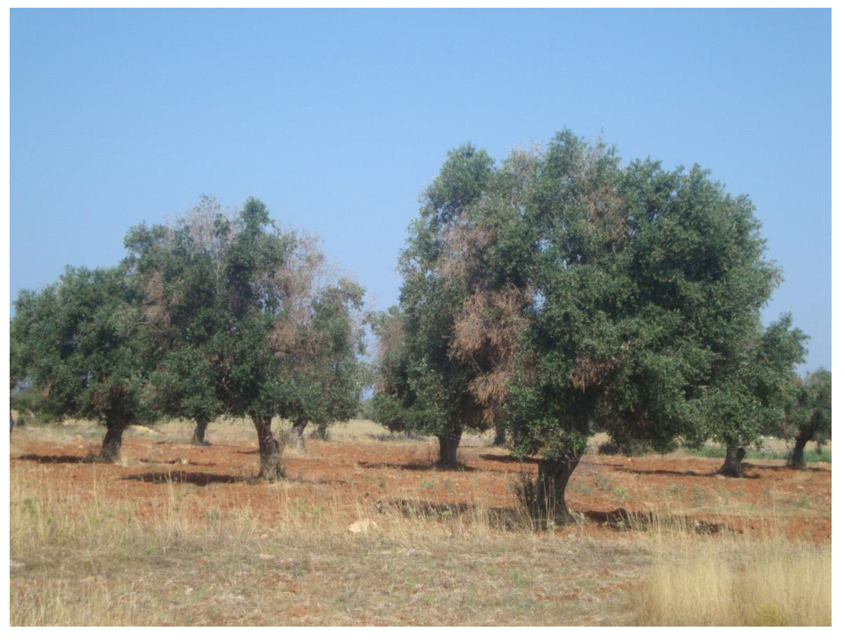 Sustainability 12 06700 g003 Sustainability 12 06700 g003