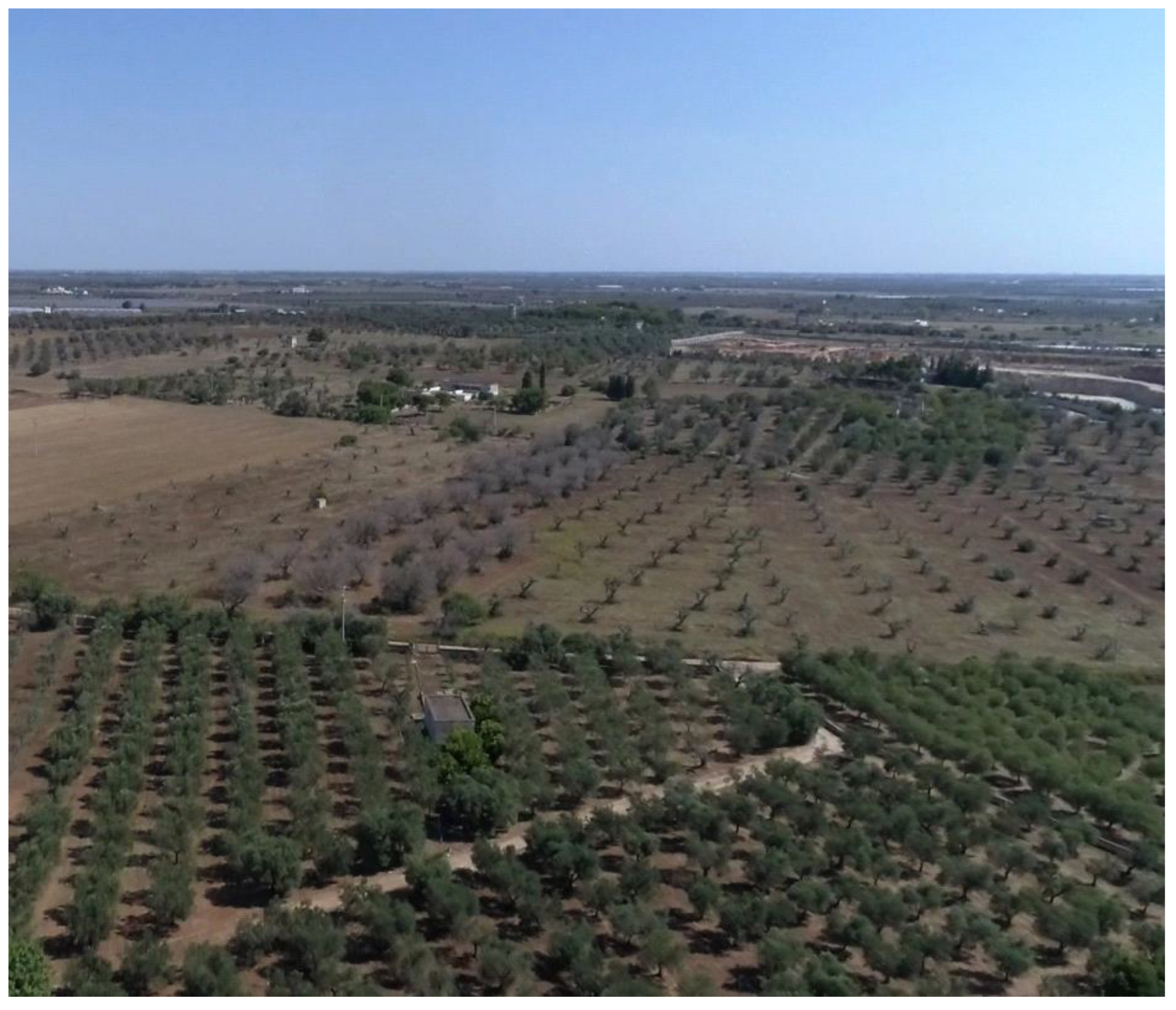 Sustainability 12 06700 g008 Sustainability 12 06700 g008