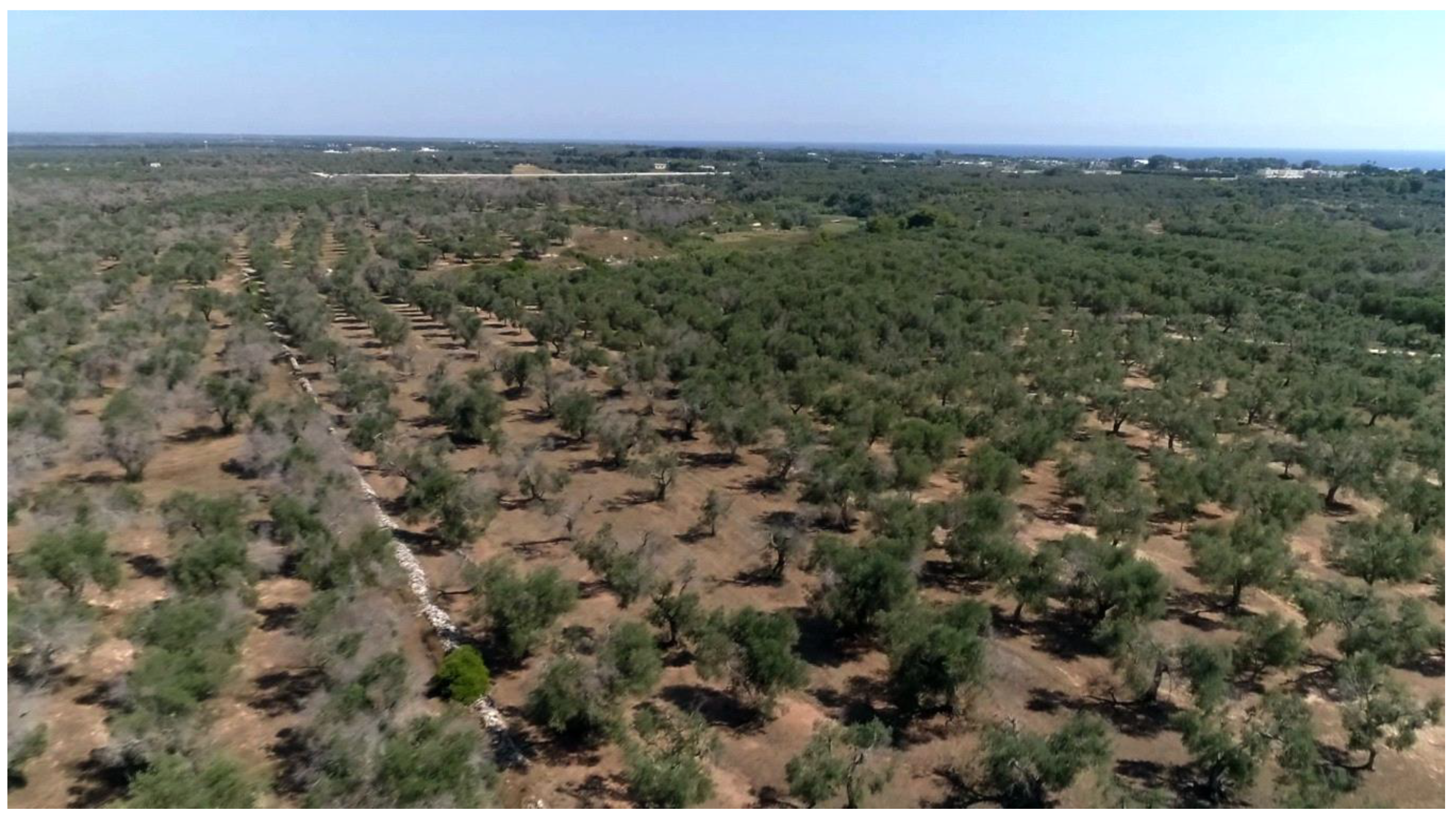 Sustainability 12 06700 g009 Sustainability 12 06700 g009