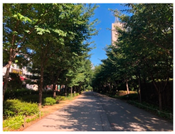 Sustainability 12 06722 i007 Sustainability 12 06722 i007