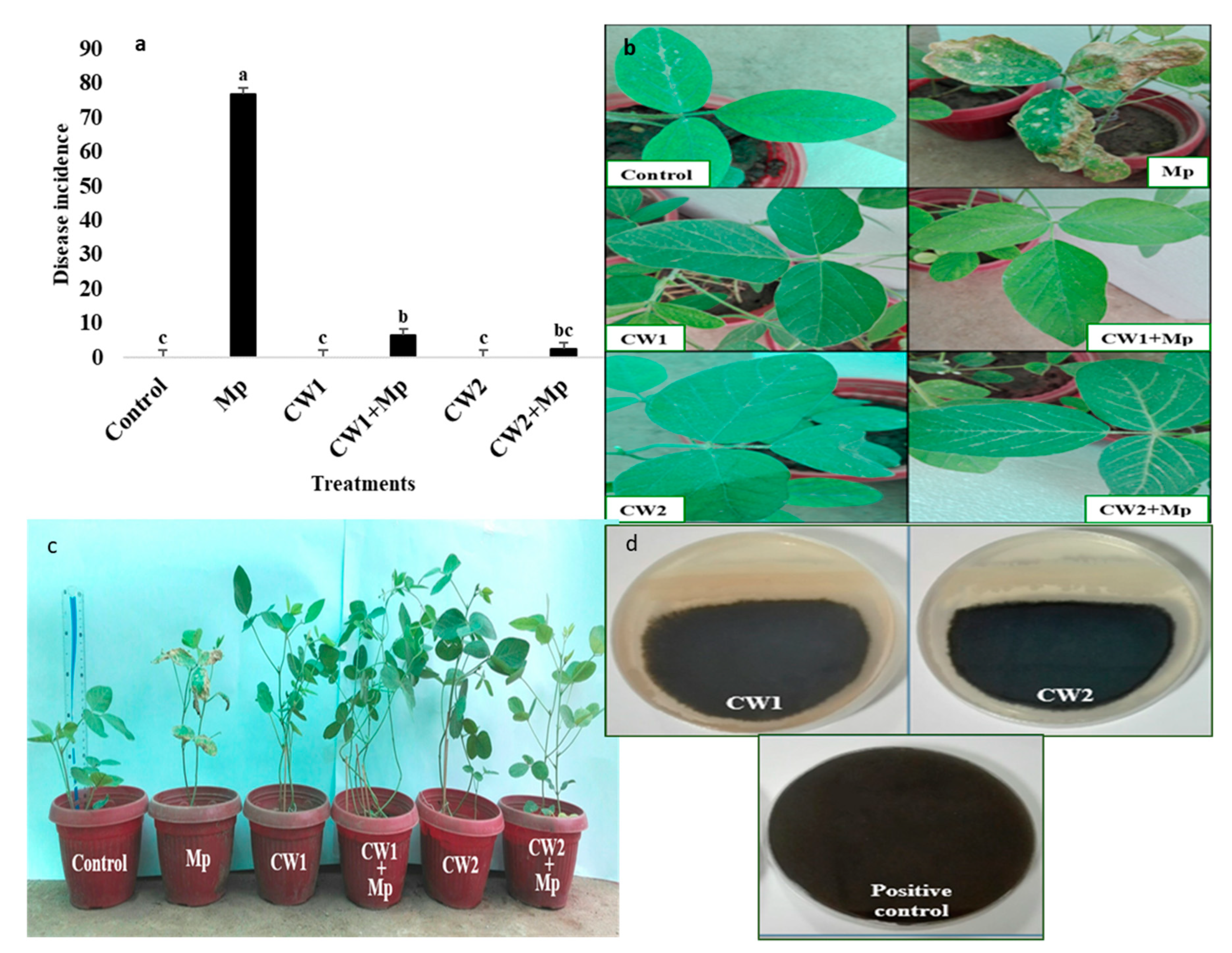 Sustainability 12 06856 g002 Sustainability 12 06856 g002