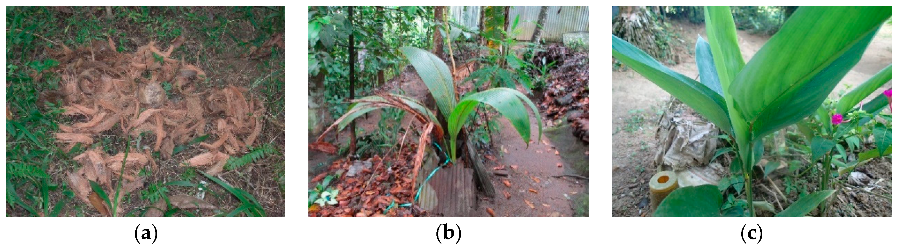 Sustainability 12 06866 g005 Sustainability 12 06866 g005