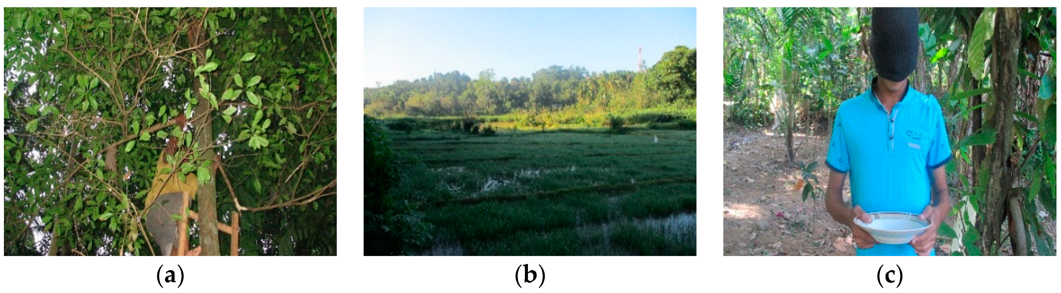 Sustainability 12 06866 g006 Sustainability 12 06866 g006